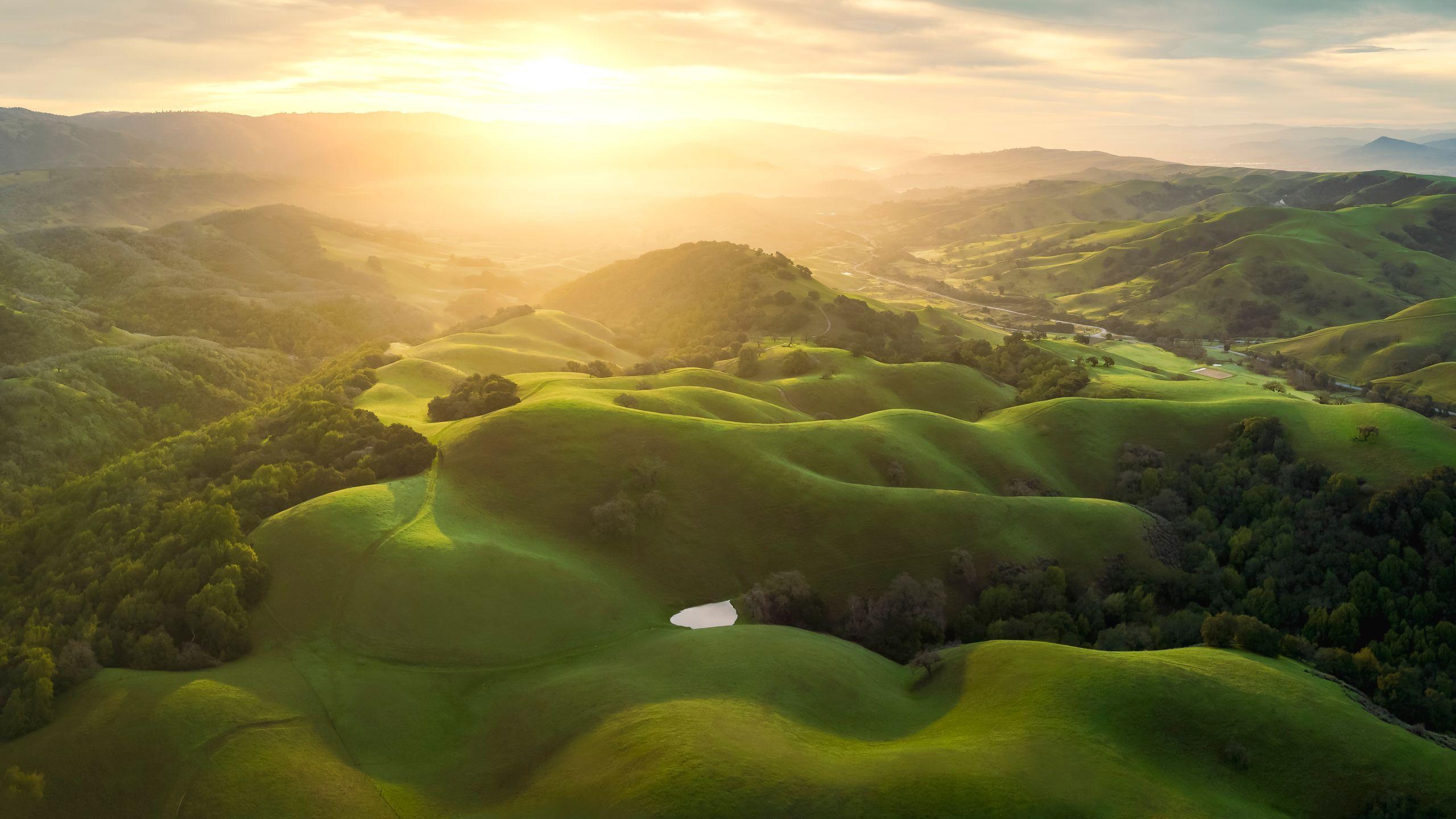 Bright green rolling hills lit by a soft sunrise, with a small pond in the valley below