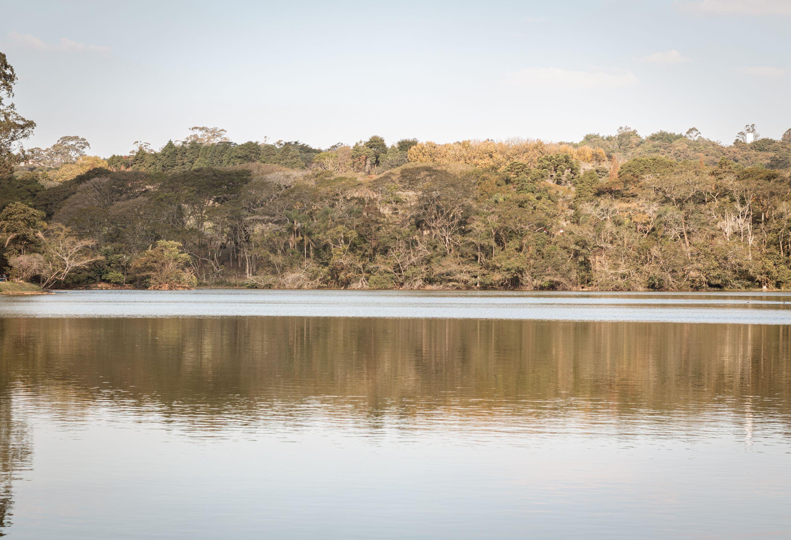 A calm lake reflecting a forested shoreline under soft daylight