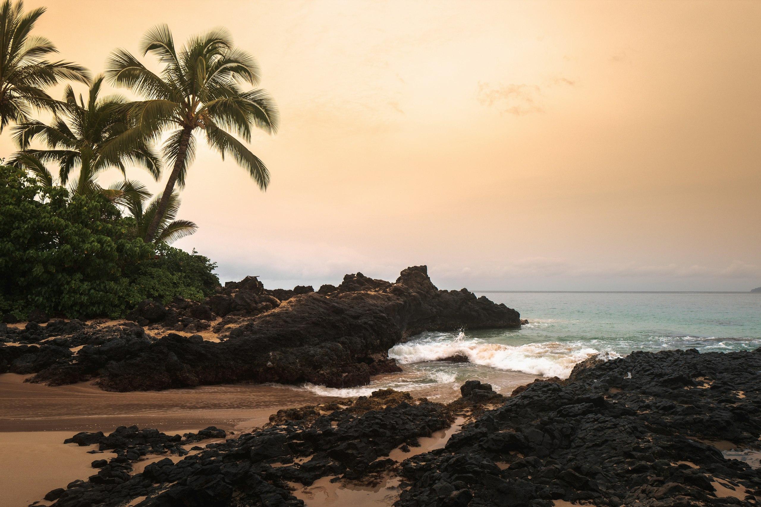 A Maui shoreline in early morning light, palms leaning over black lava rock and turquoise water