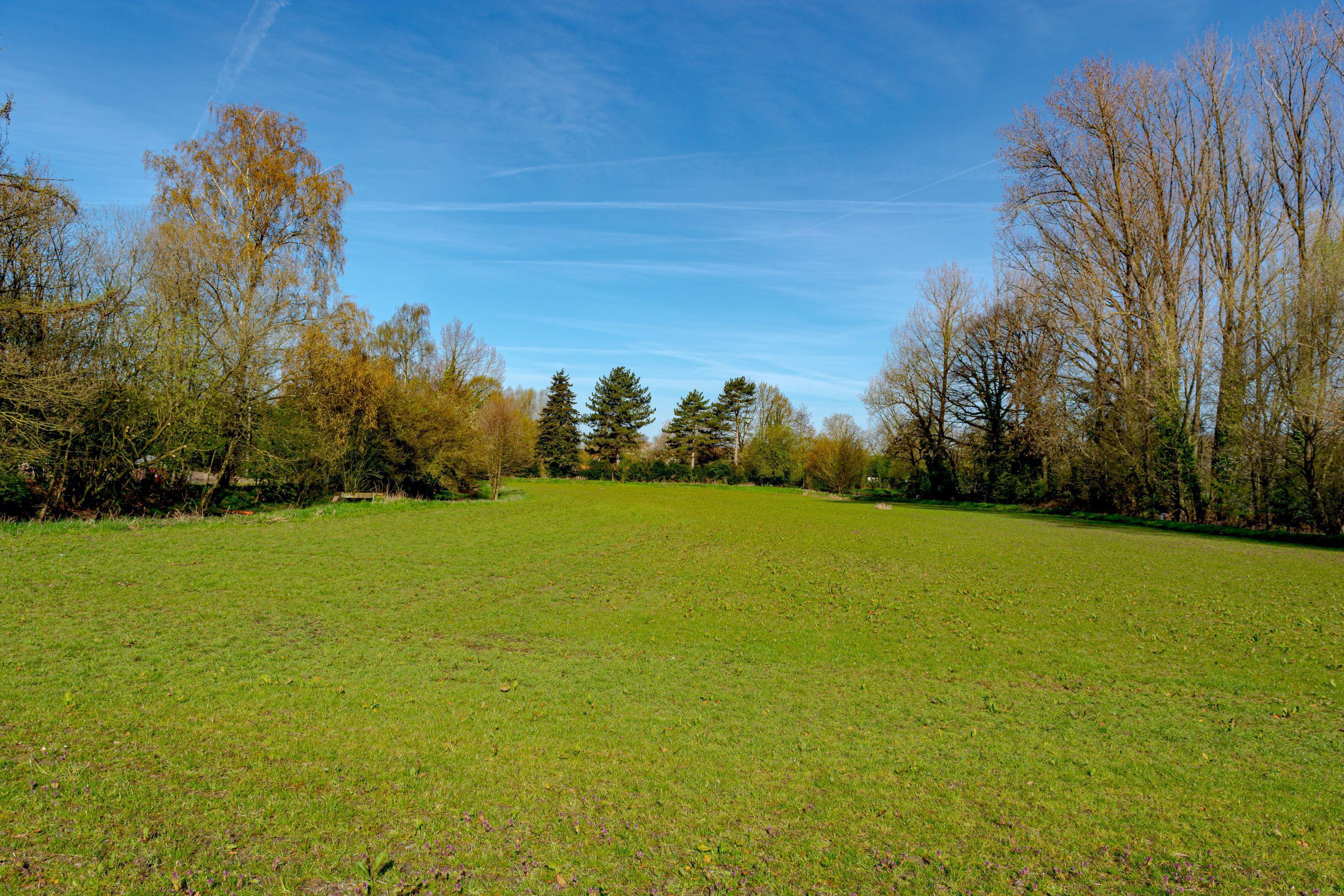 A wide green meadow edged with trees under a deep blue sky streaked with cirrus