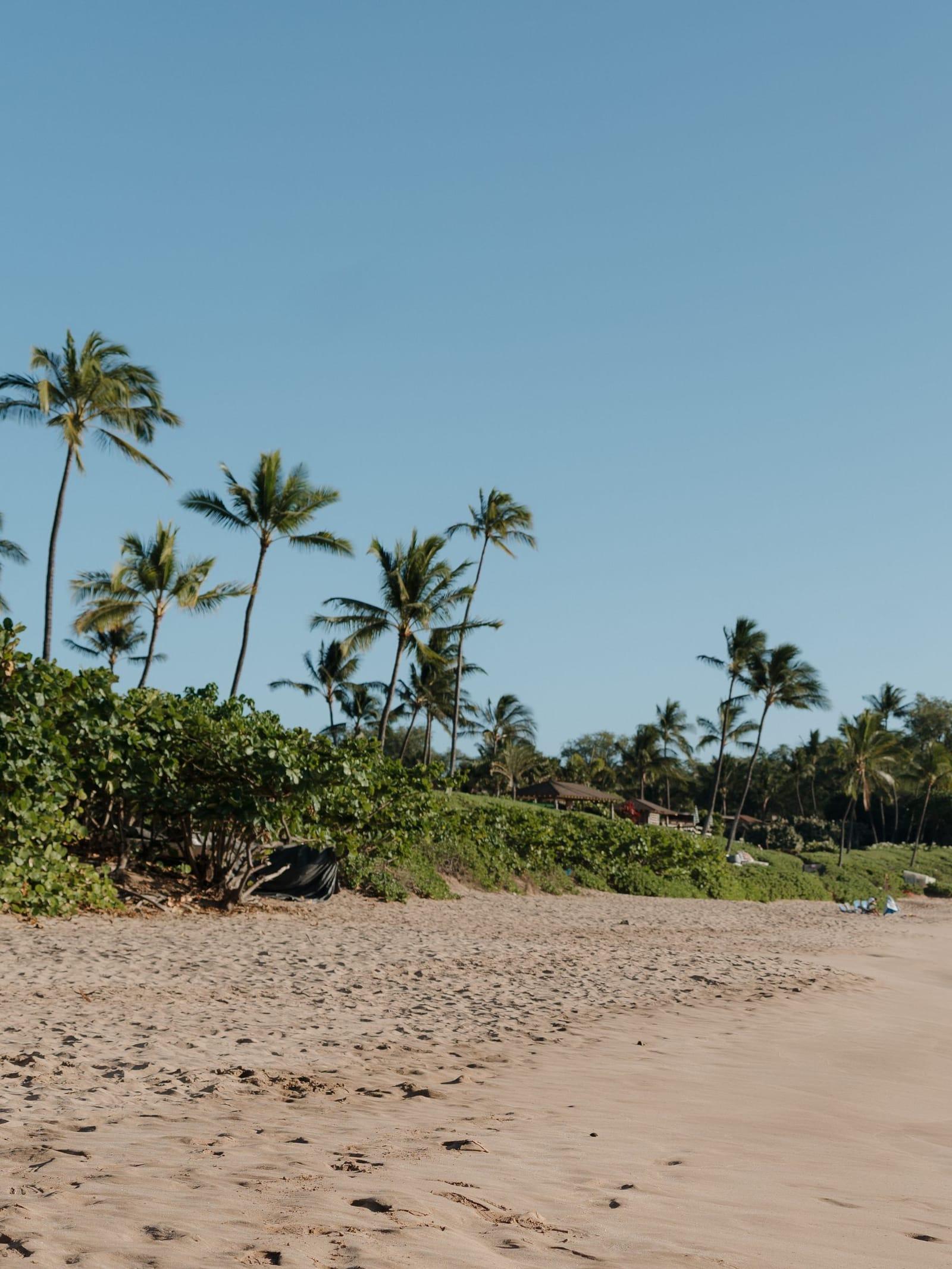 Palms and turquoise water along a quiet beach in Kihei