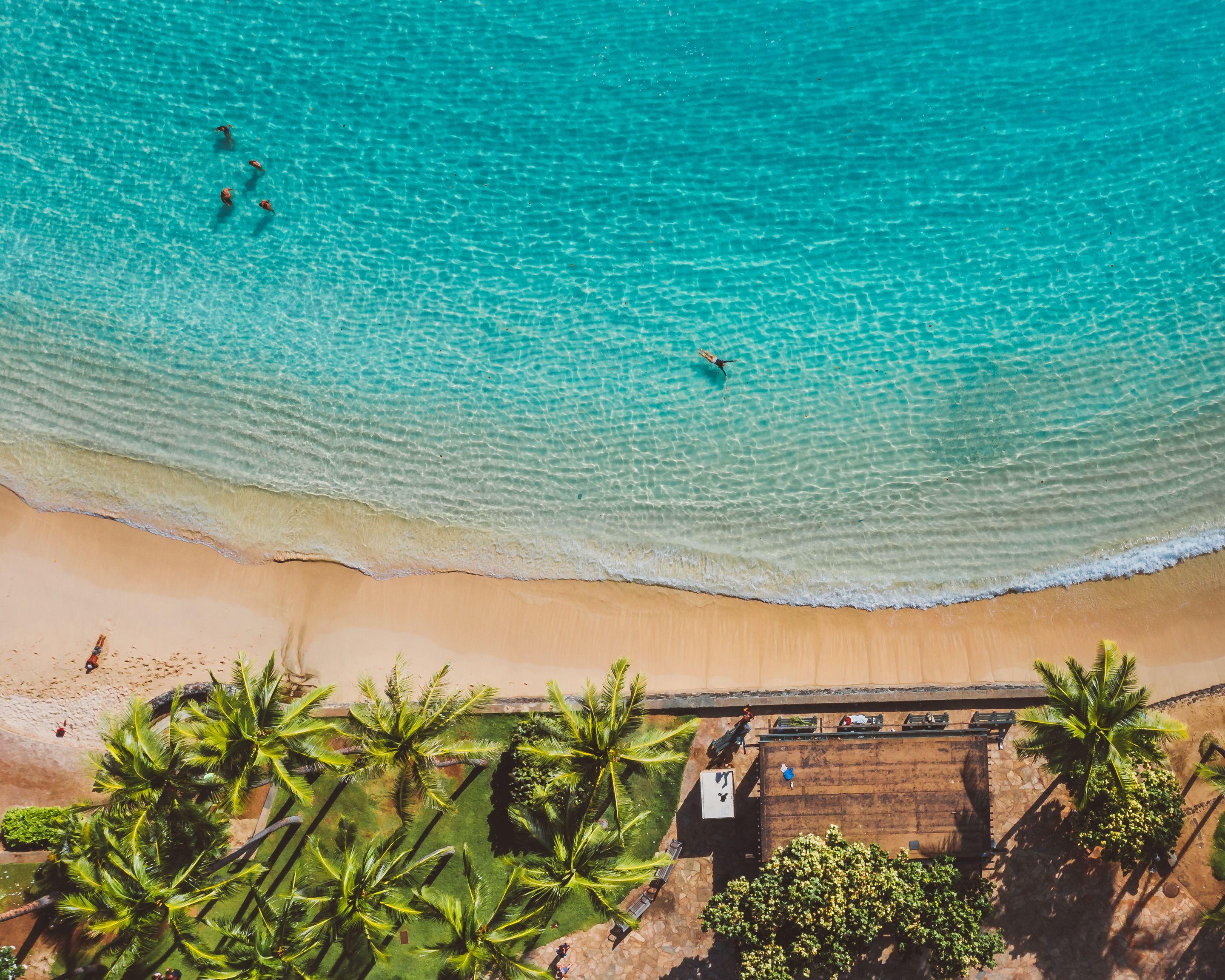 Calm turquoise water along a quiet tropical shore in morning light