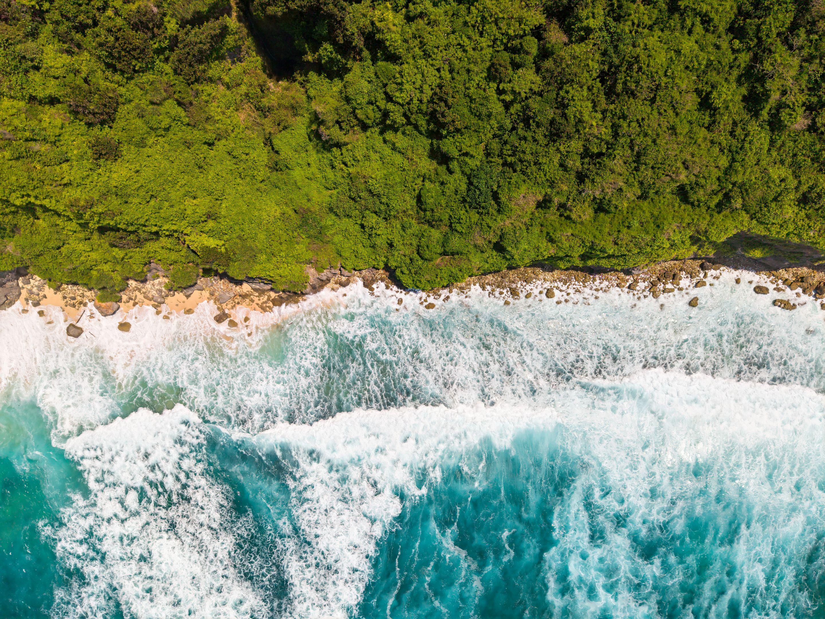 Green cliffs dropping to a bright blue ocean on a clear day