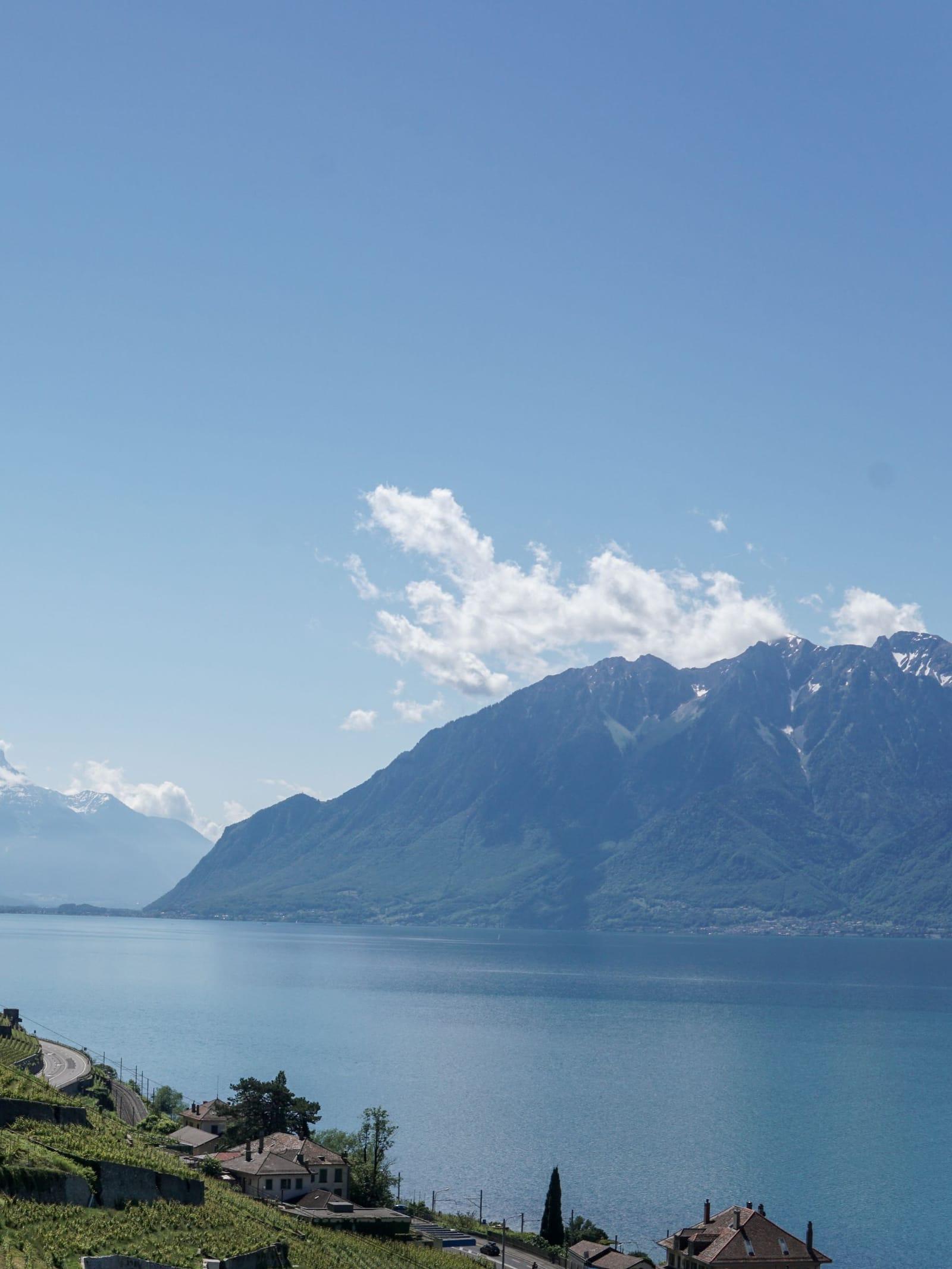 Lake Geneva below the Alps, seen from the vineyard slopes on the Vaud shore