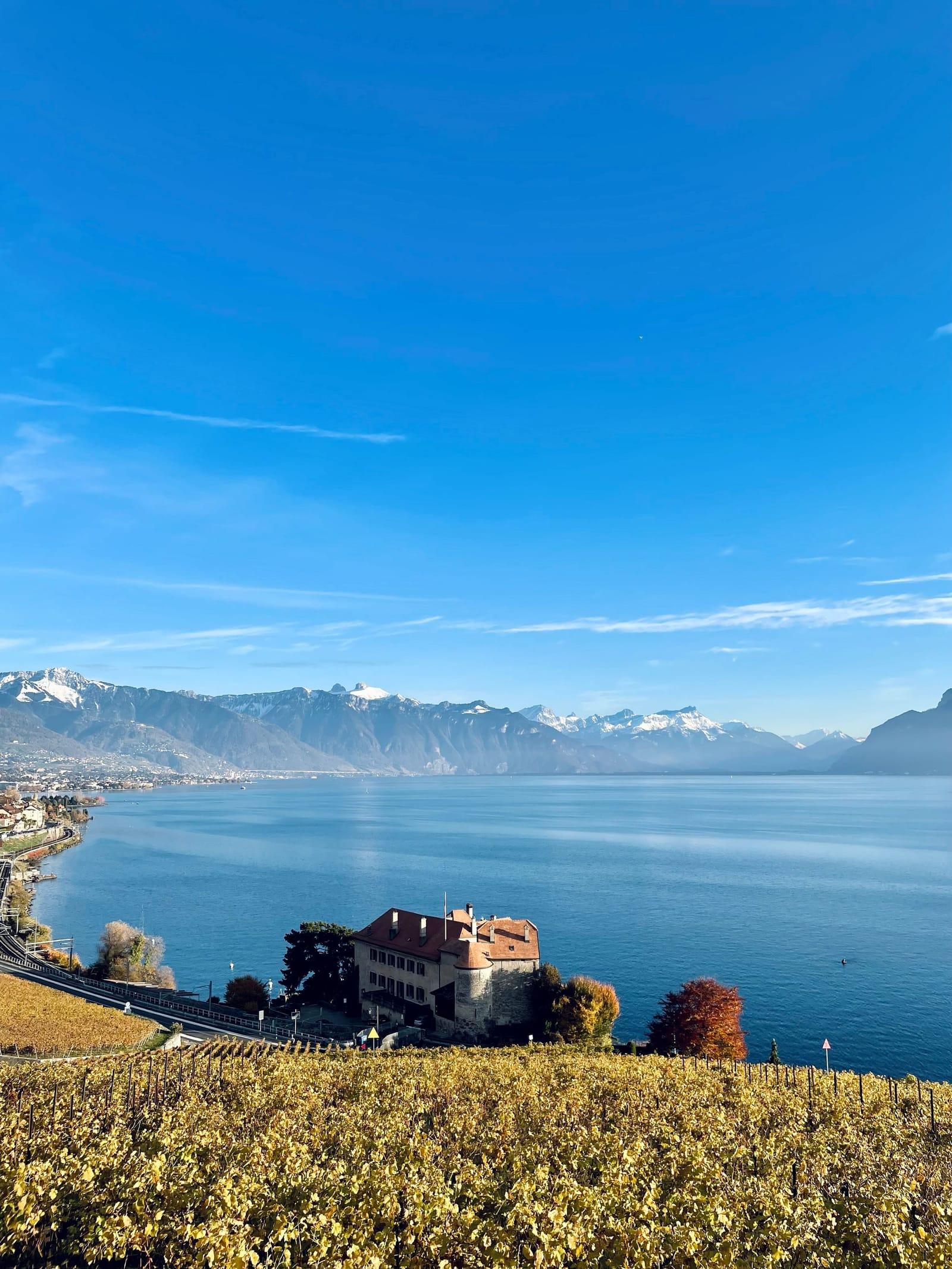 Vineyard terraces above Lake Geneva, with snow still on the far mountains