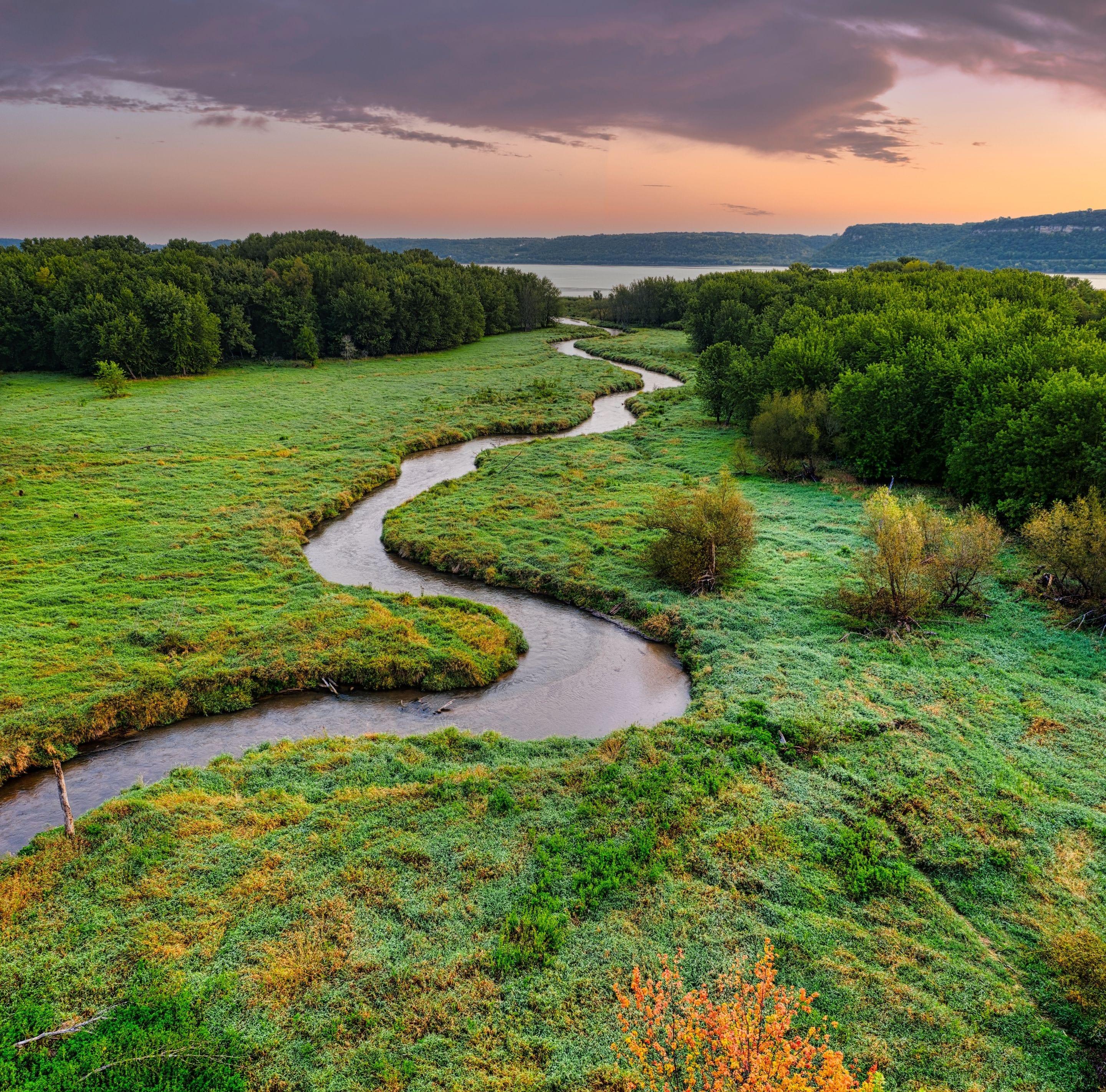 A river meandering in wide curves through bright green meadow, seen from above