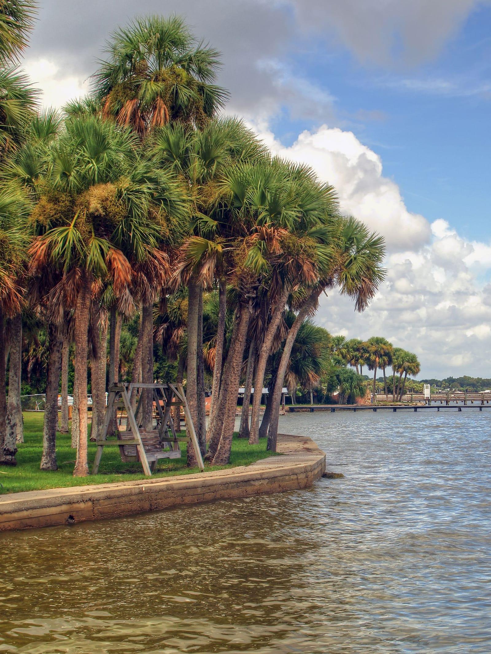 Palms lining a calm lagoon under a bright, clouded sky