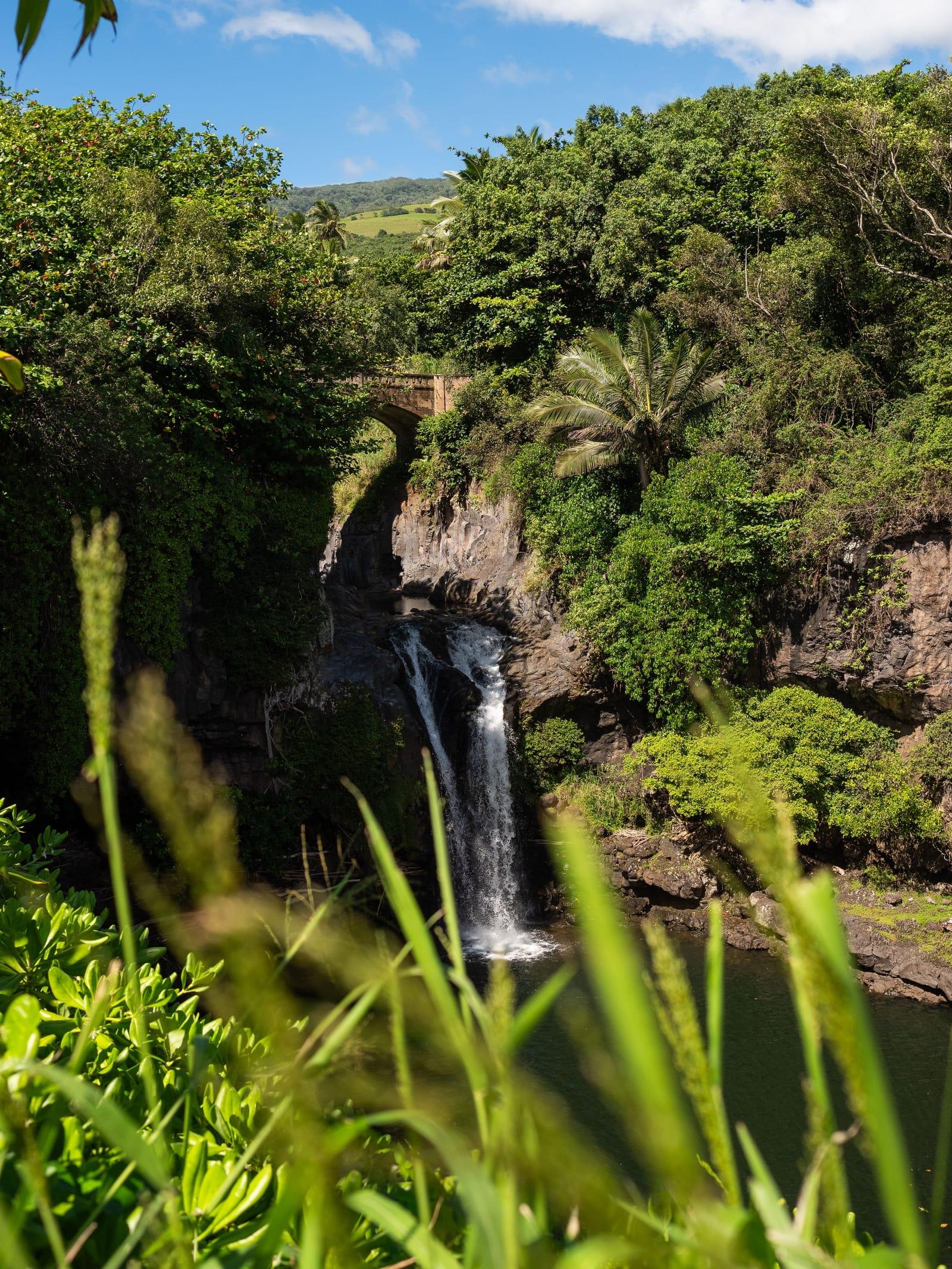 A waterfall falling through green rainforest on Maui under a blue sky