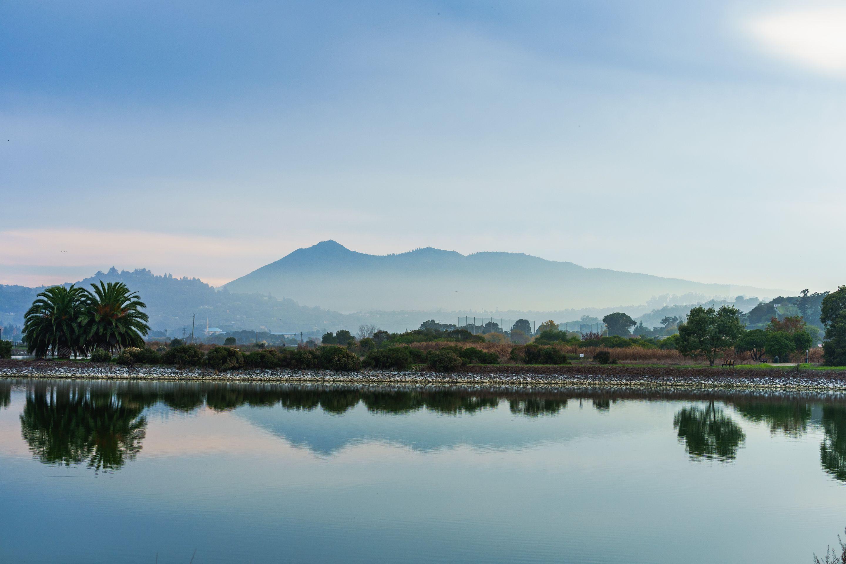 Still water mirroring a low treeline and distant hills under a pale sky