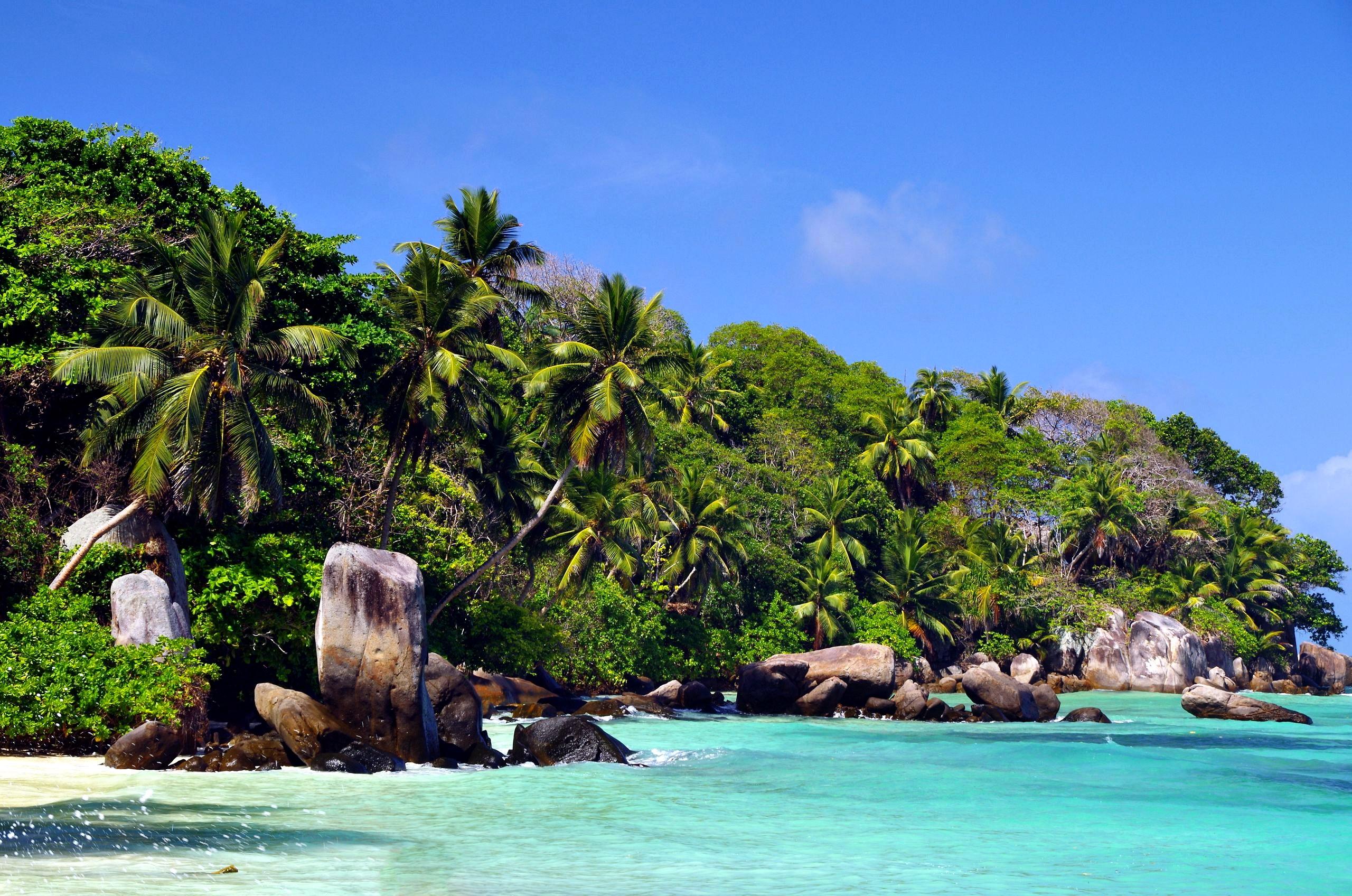 A lush tropical cove with palm trees and boulders beside calm turquoise water