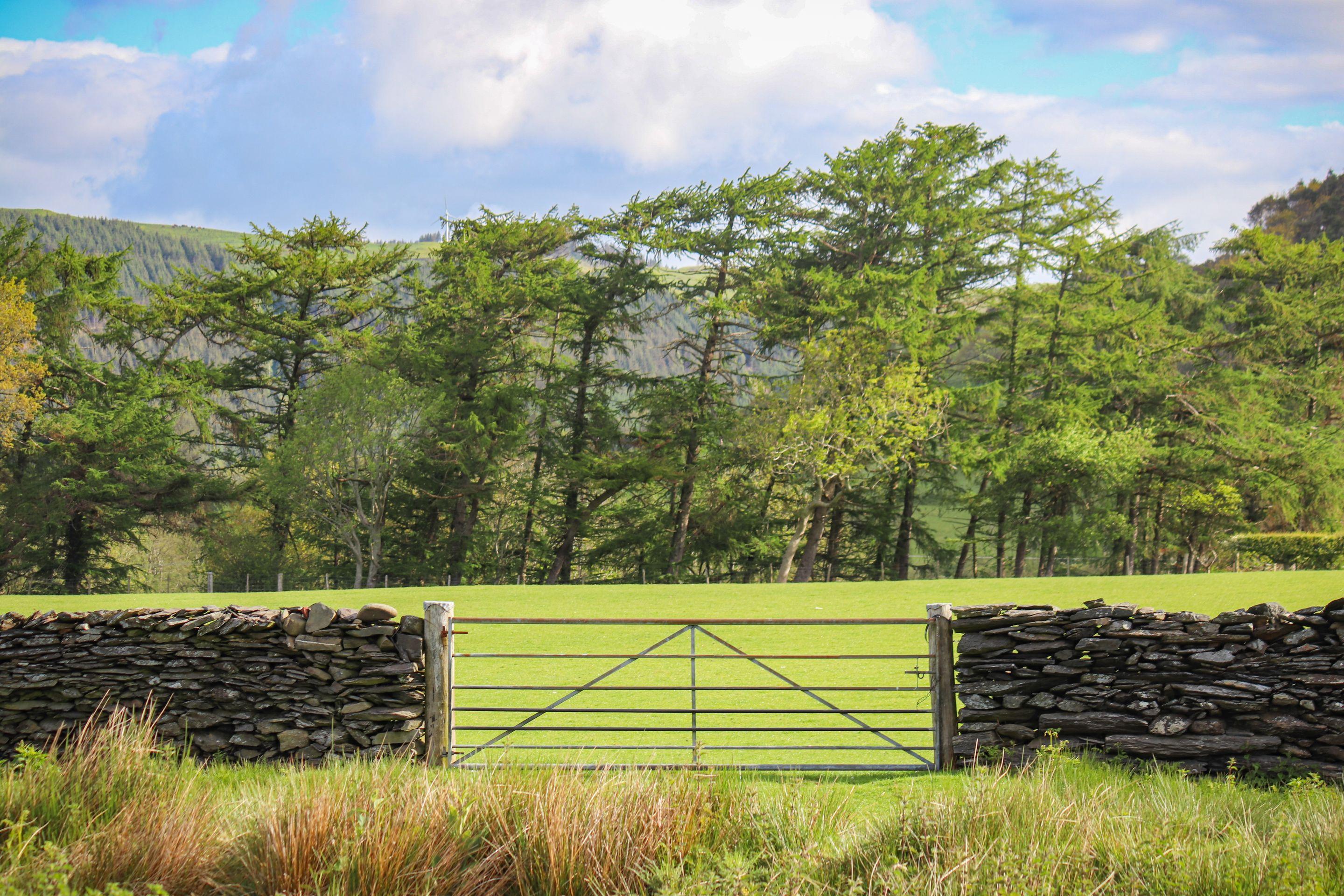 An open five-bar gate between dry stone walls onto a bright green field, trees beyond