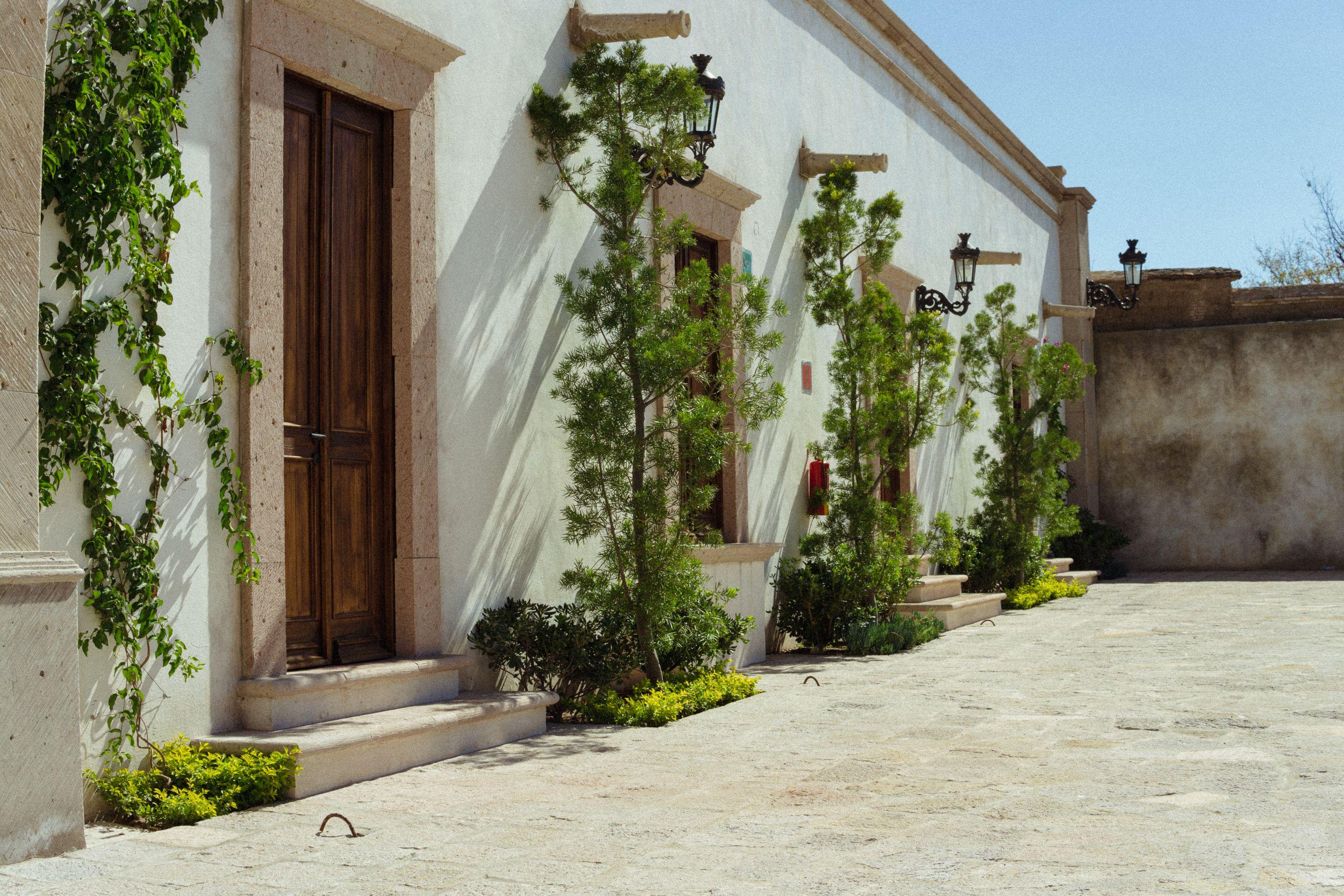 A pale stone building with climbing greenery along a bright, empty courtyard