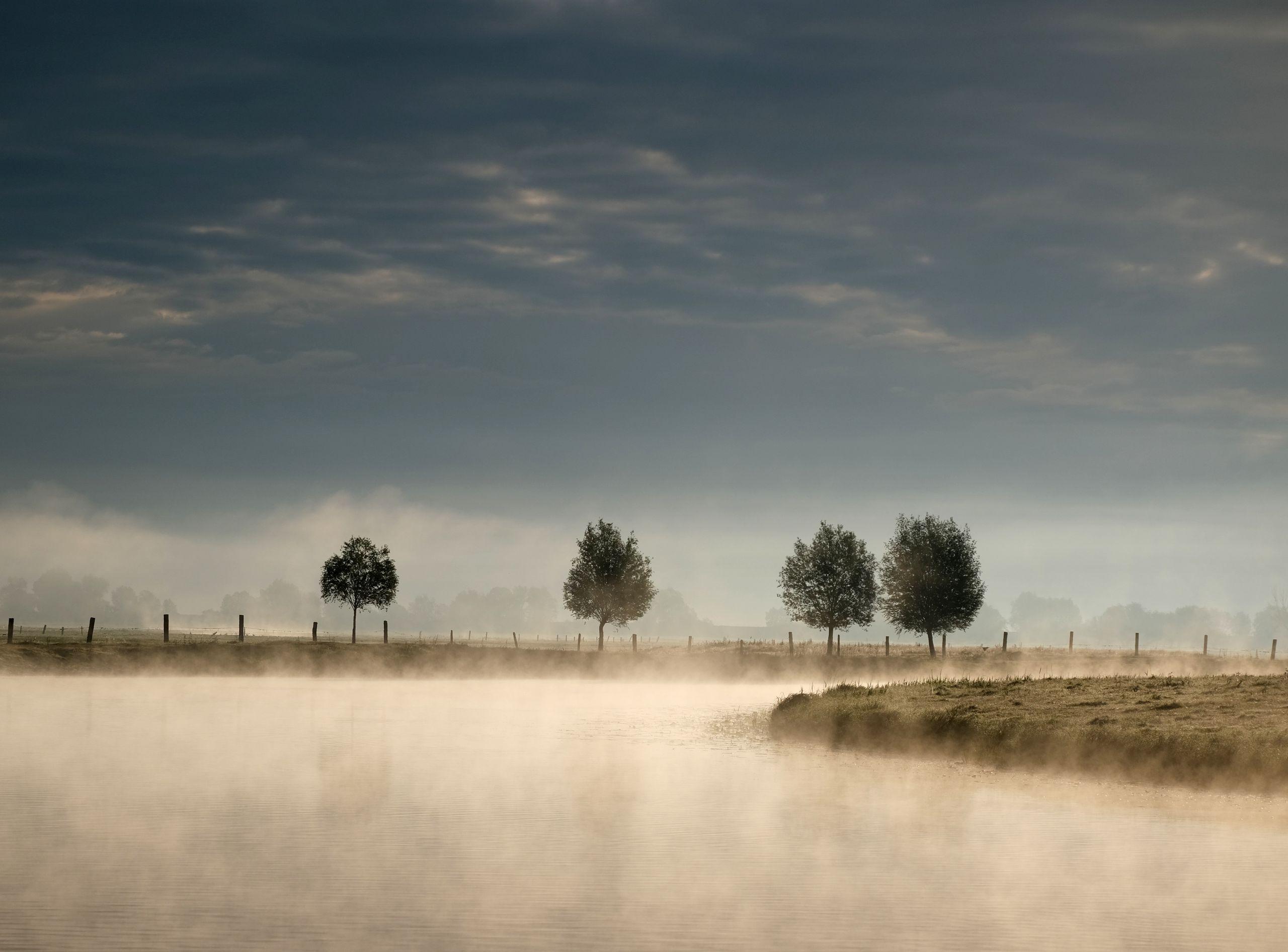 Mist rising over a calm river lined with trees at dawn