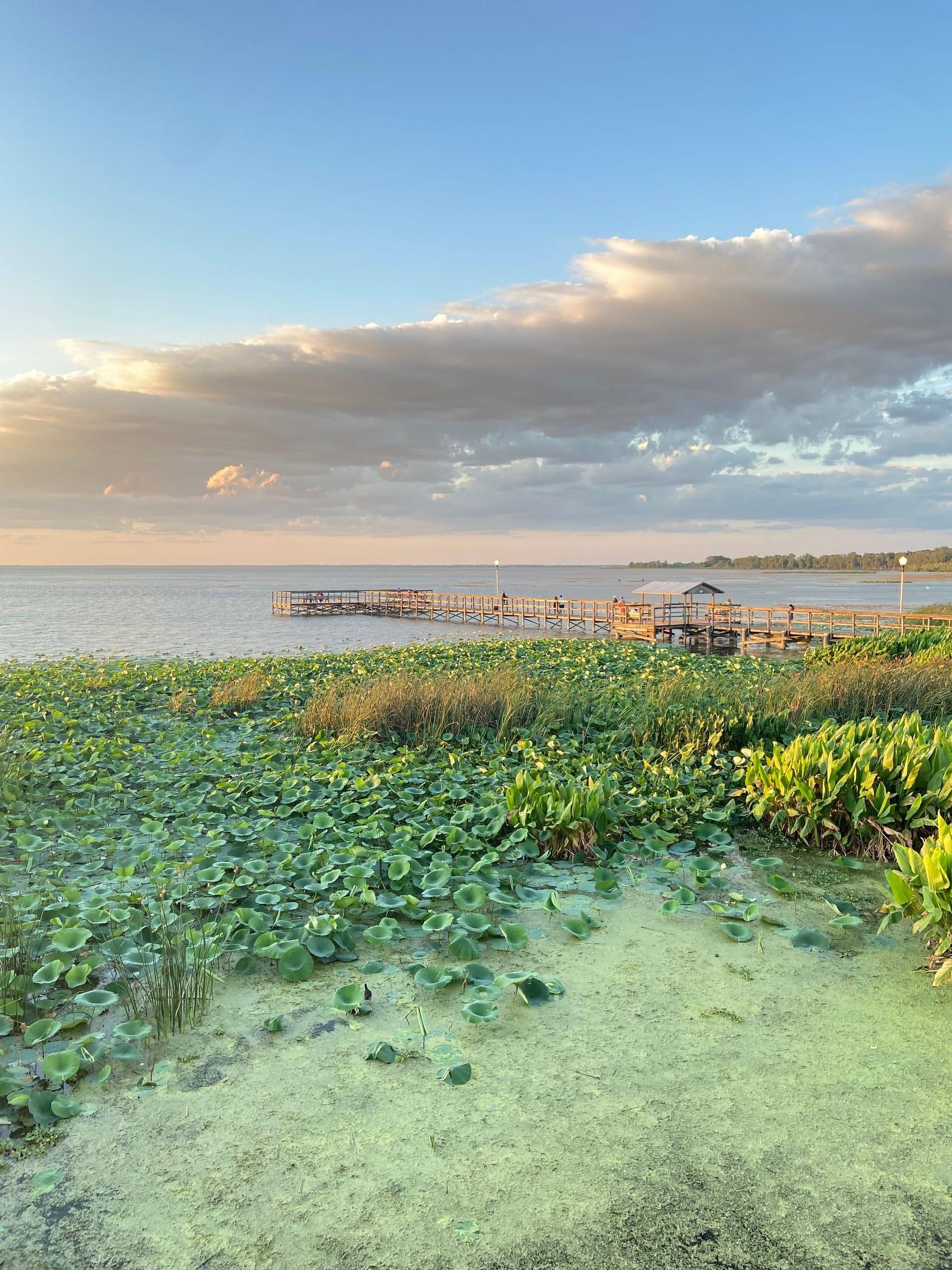 A wooden pier running out over a lake edged with lily pads, under a wide sky