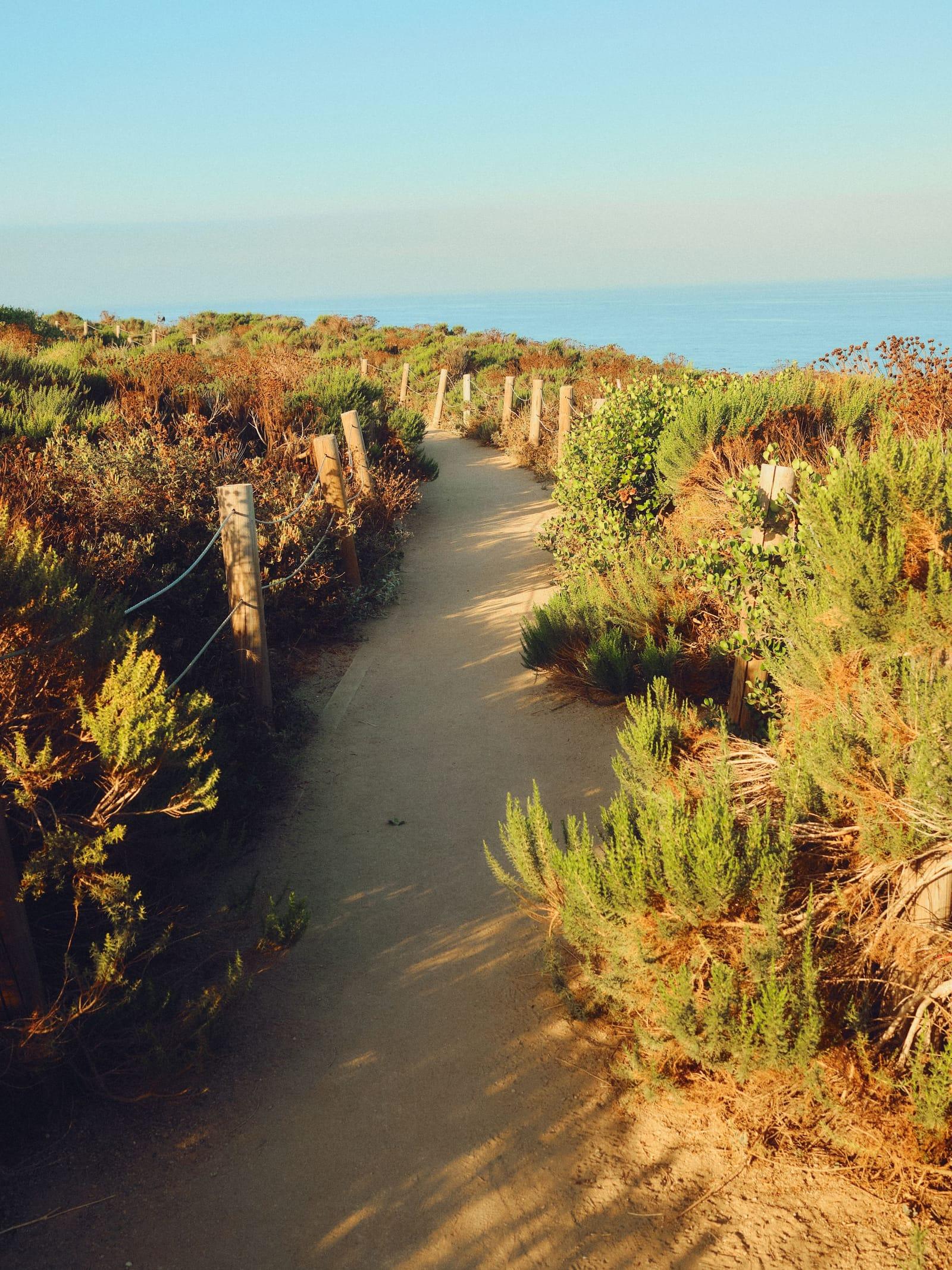 A coastal hiking trail through green scrub near Malibu