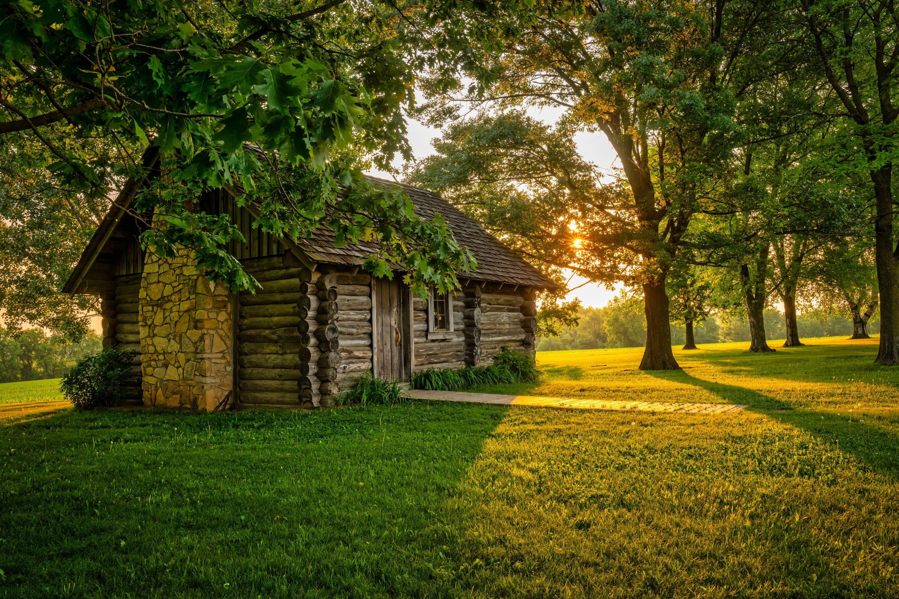 A small log cabin on a sunlit lawn with low sun coming through the trees behind it