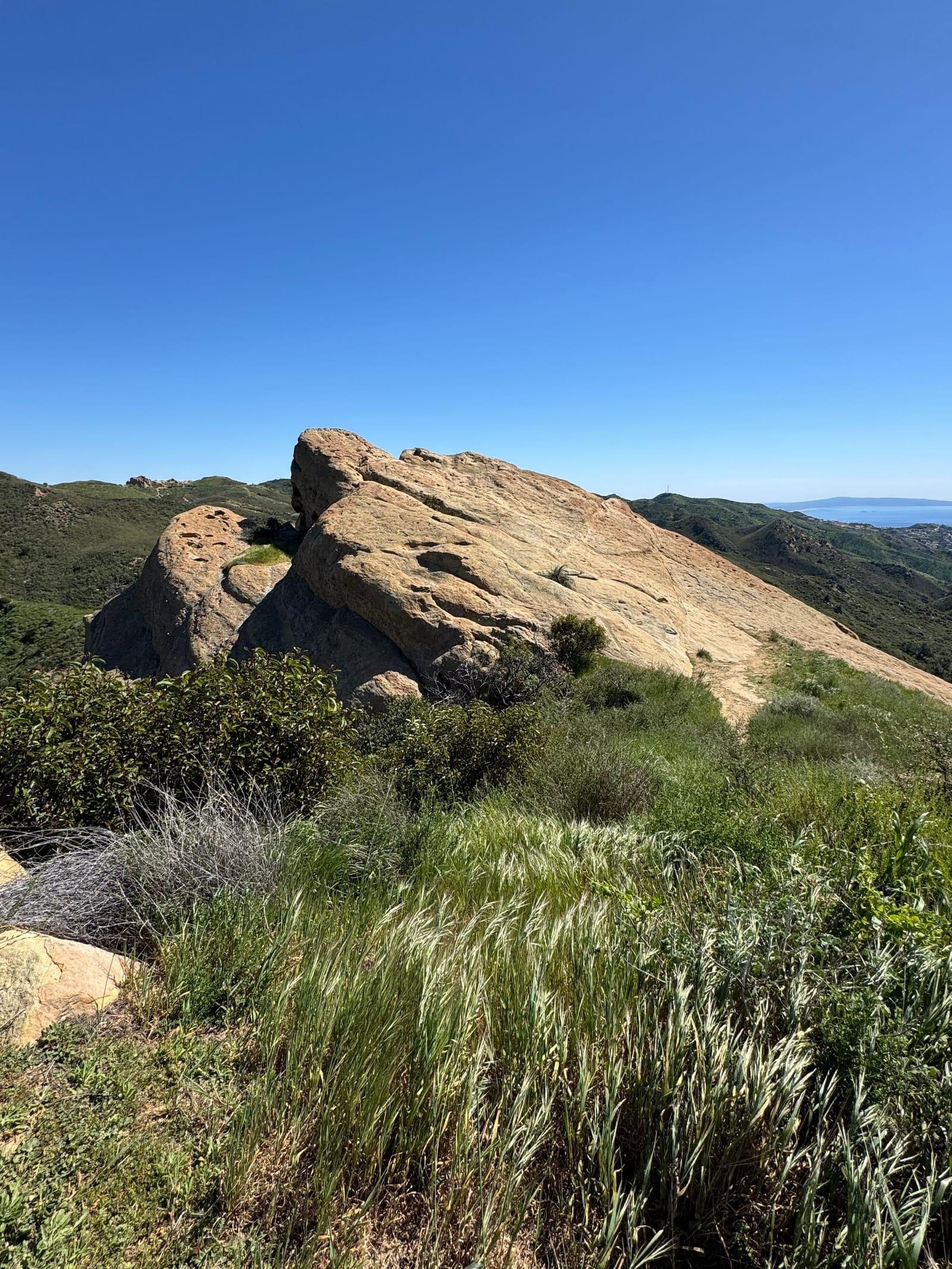 A sandstone outcrop among green chaparral in the hills above Malibu