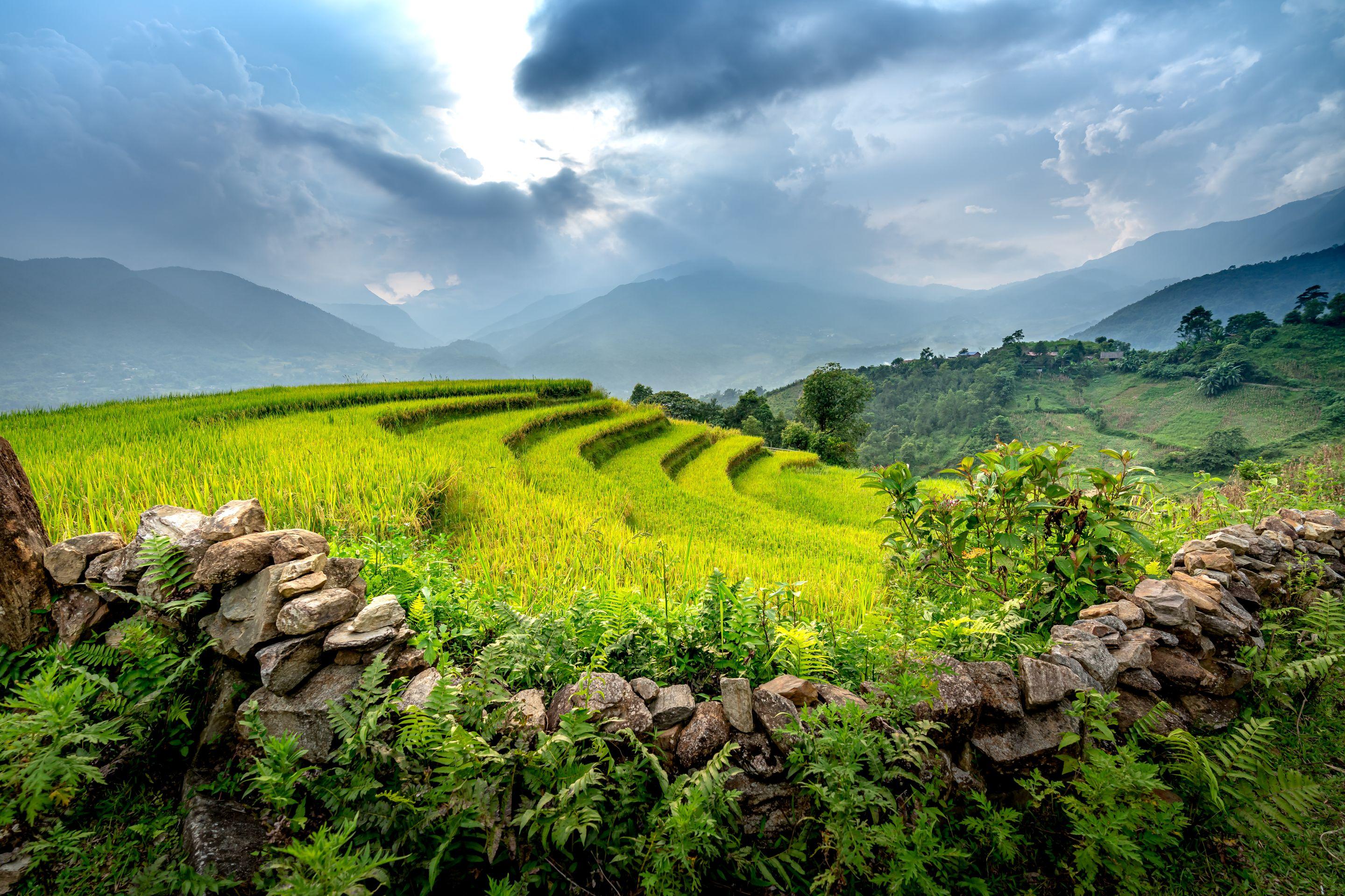 Green terraced fields behind a dry stone wall, hills and cloud in the distance