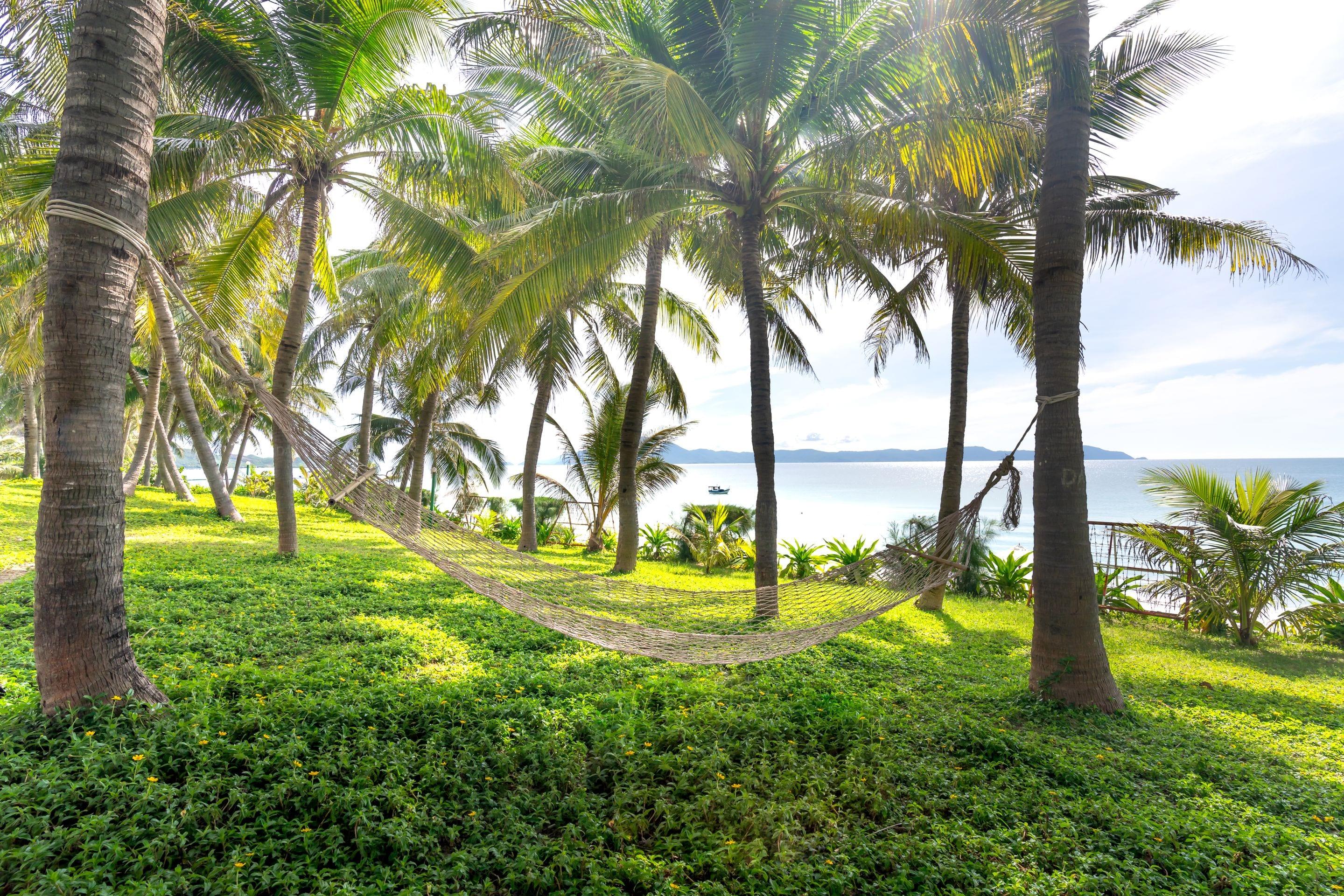 An empty hammock strung between palm trunks over bright green ground, sea beyond