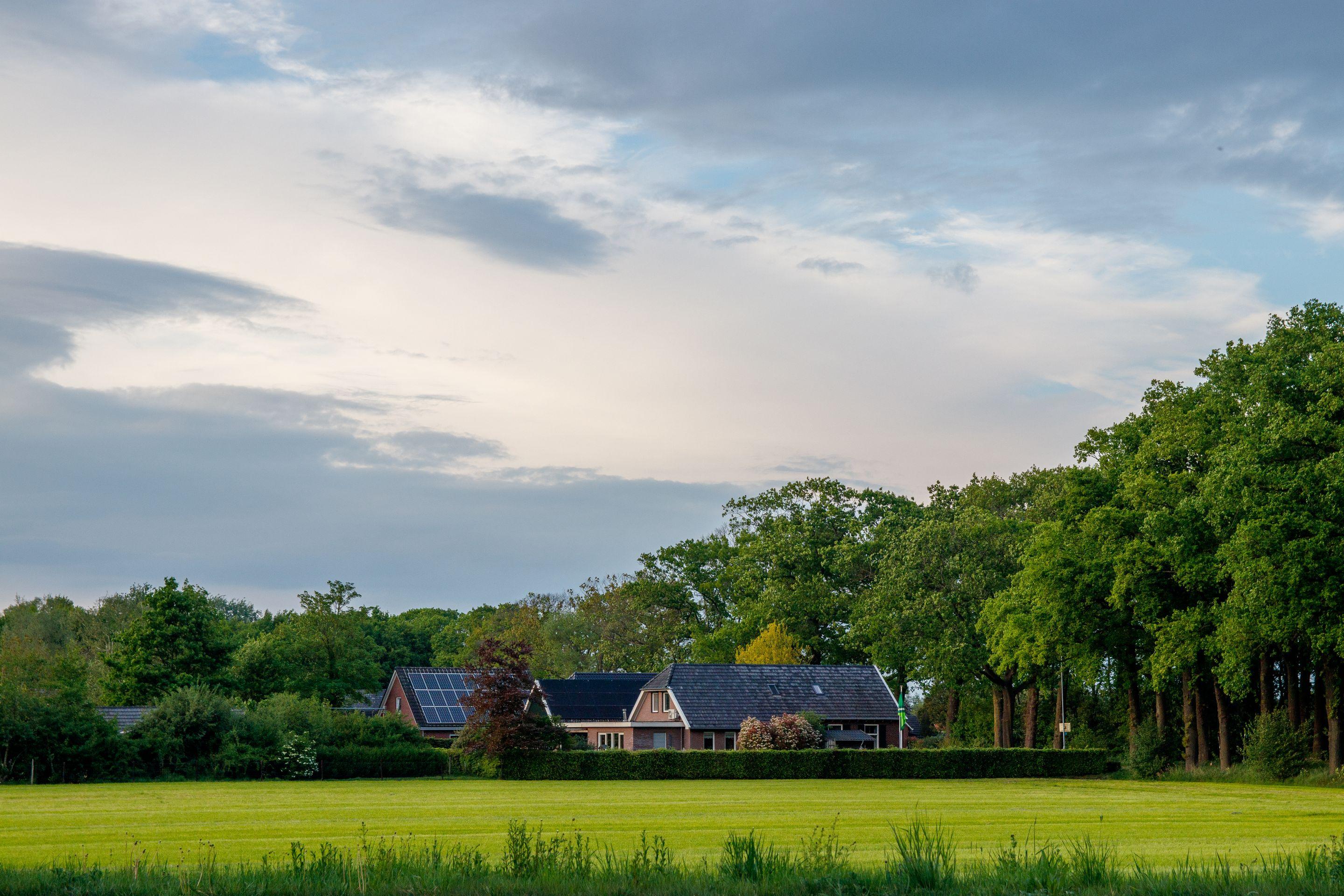 A wide green field with a farmhouse and trees along the far edge under a big sky