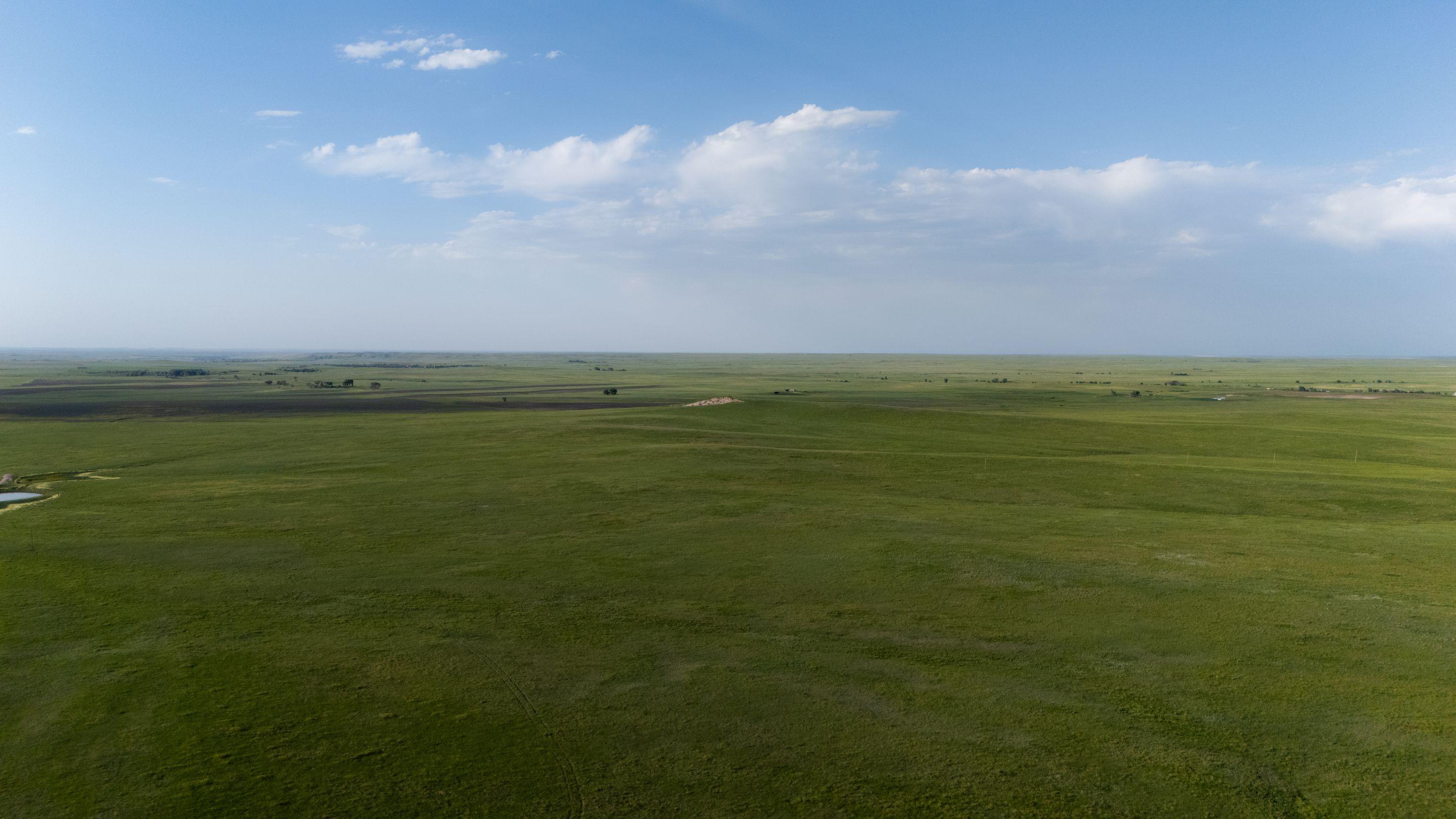 A wide green plain running flat to the horizon under a bright sky with scattered cloud