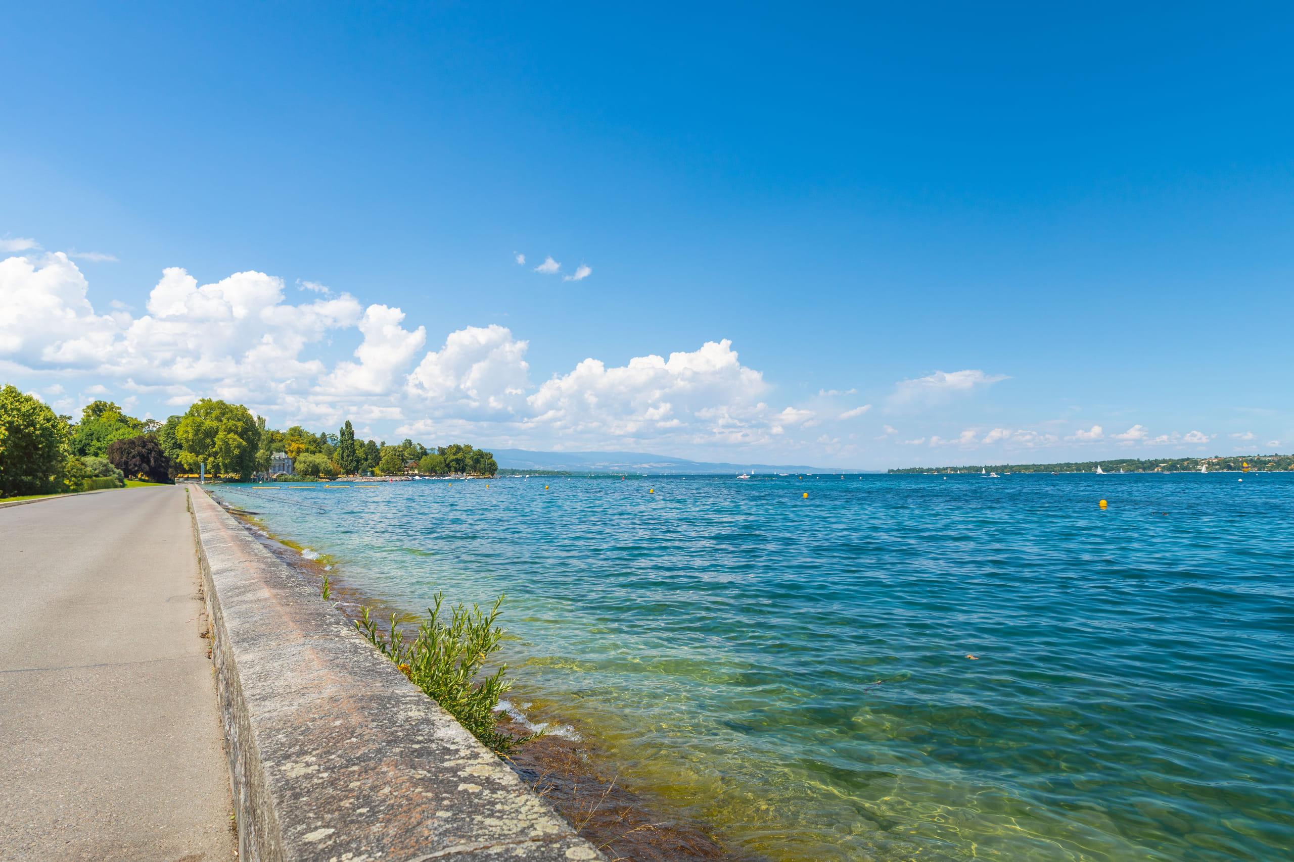 A Swiss lakeshore on a clear summer day, the water running turquoise against the bank