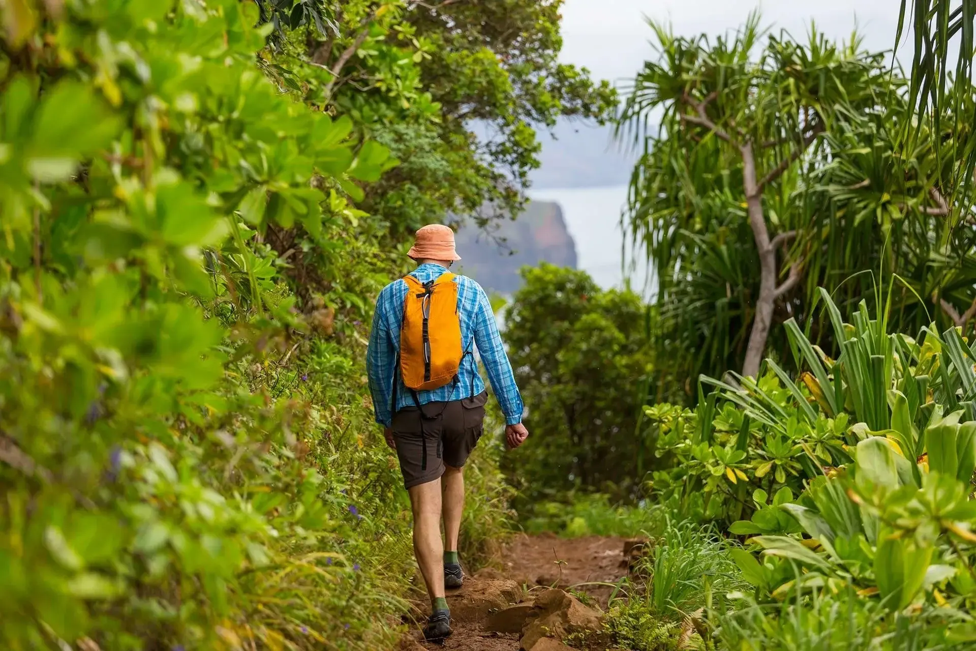Maui Recovery — image 21