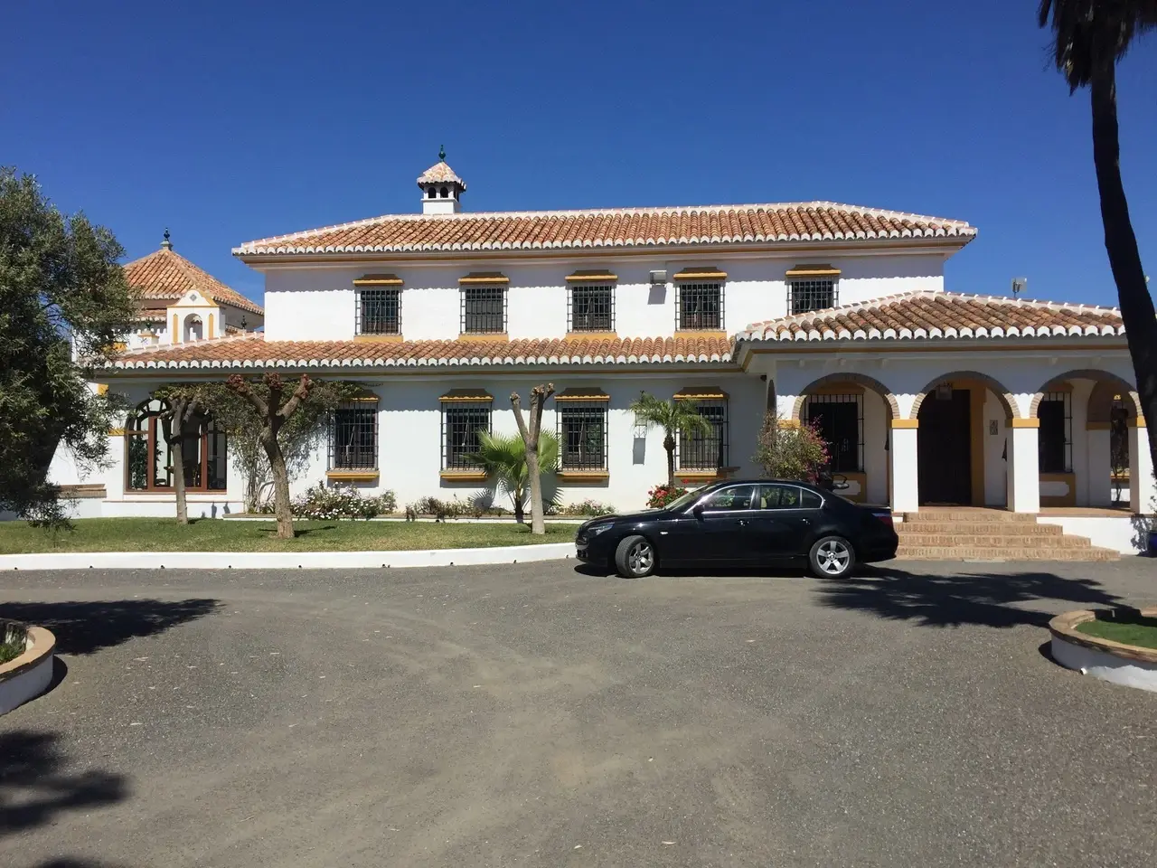 Camino Recovery — image 12