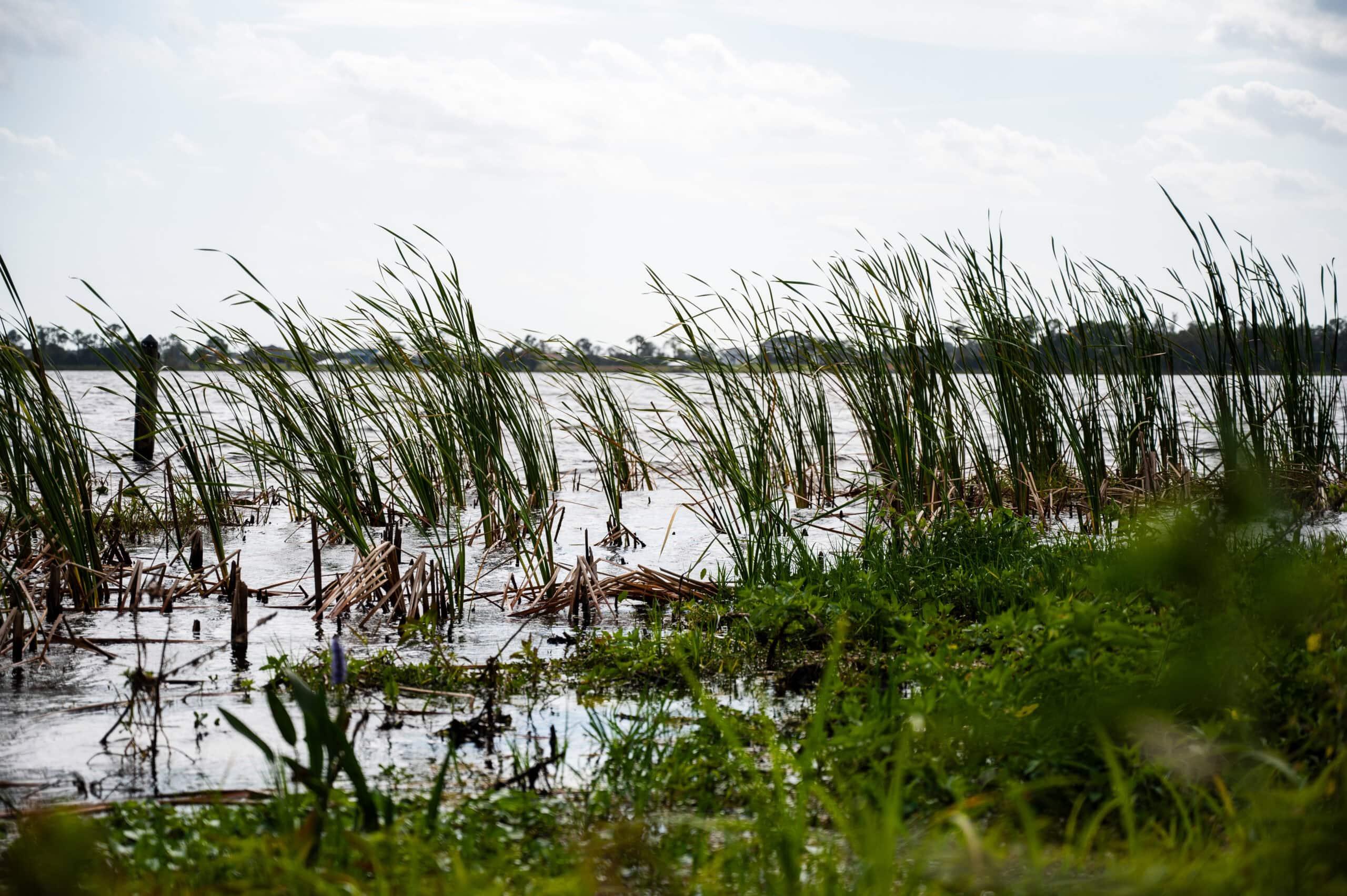 Tikvah Lake Recovery — image 30
