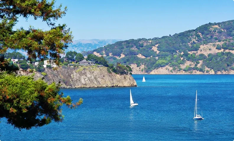Alta Mira Recovery, image 8