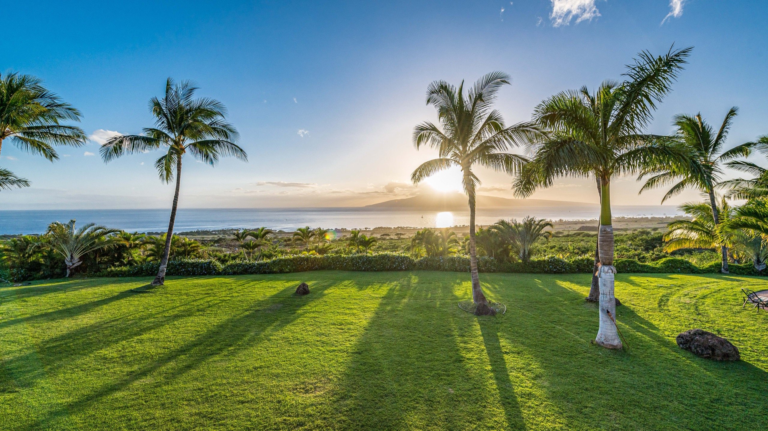 Maui Recovery, image 4