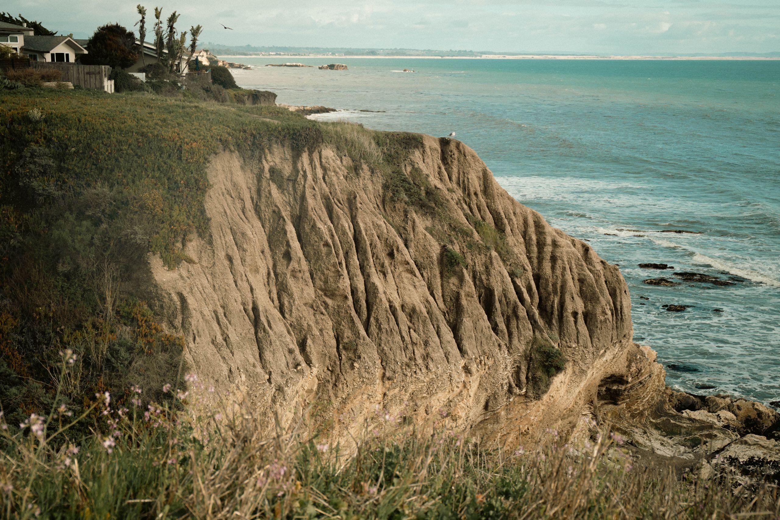 A calm coastal bluff with wildflowers meeting a bright teal ocean under a soft sky