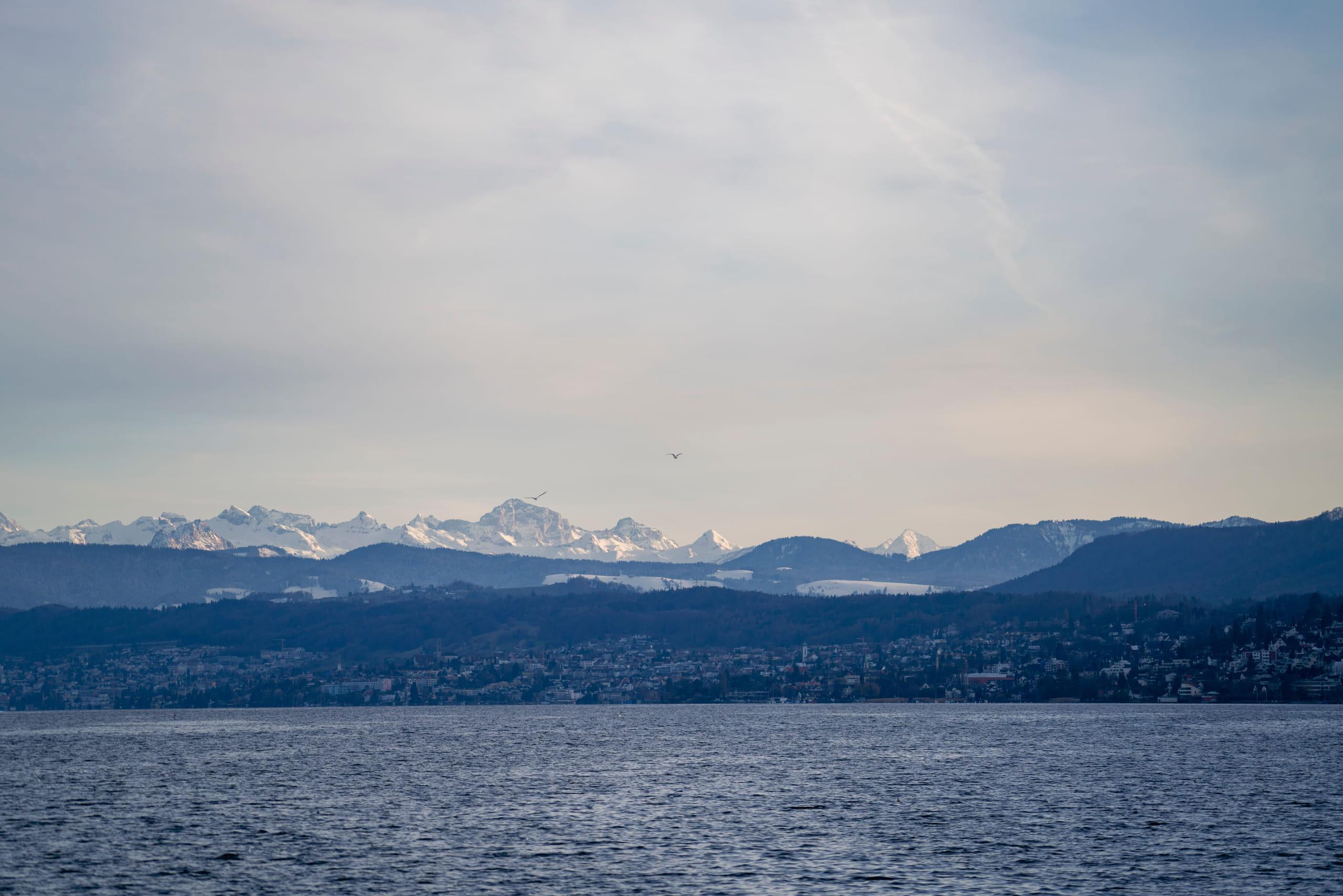 Snow-capped Alps standing over the far end of a Swiss lake under a clear sky