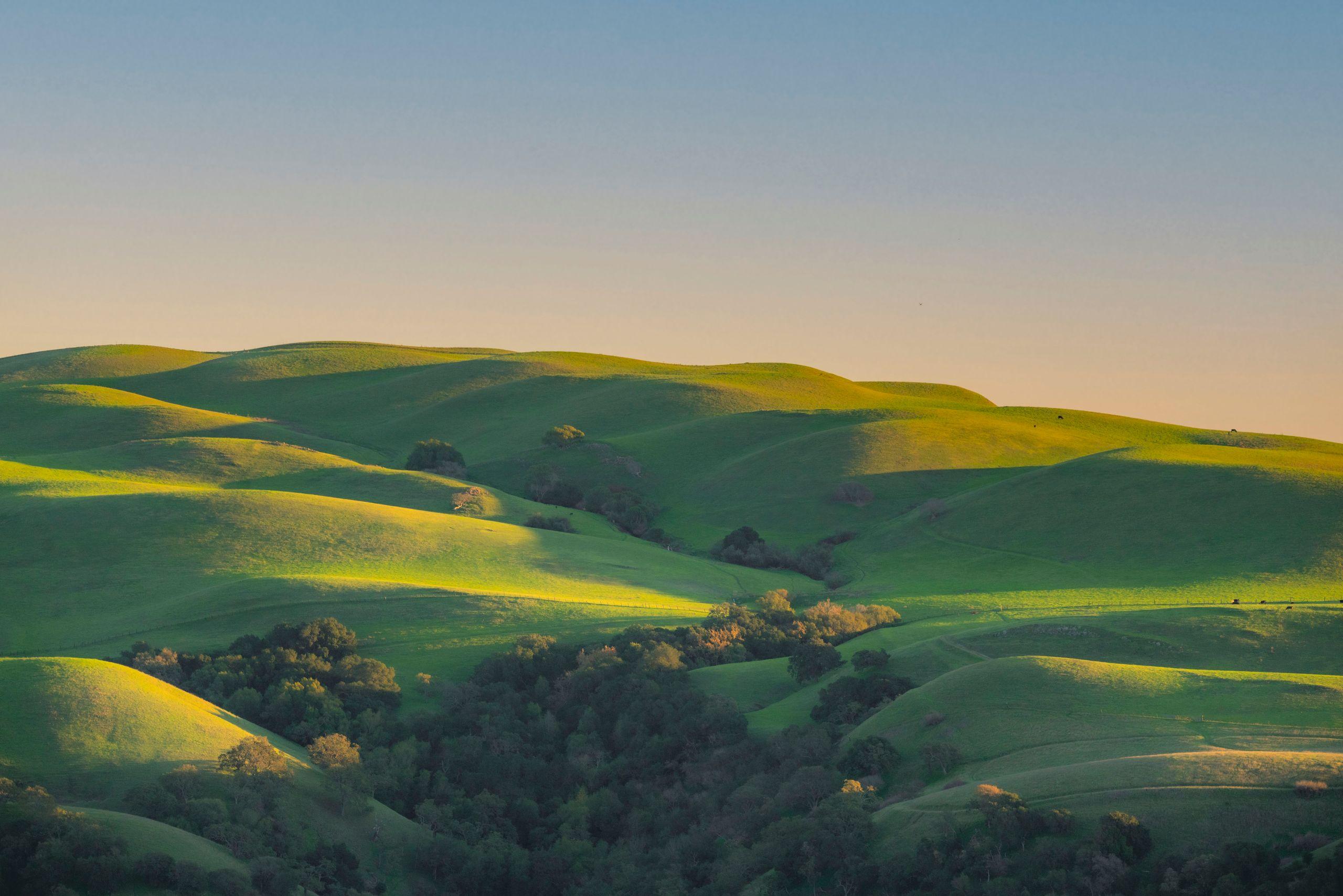 Rolling green hills lit by warm golden-hour light, with scattered trees and soft shadow