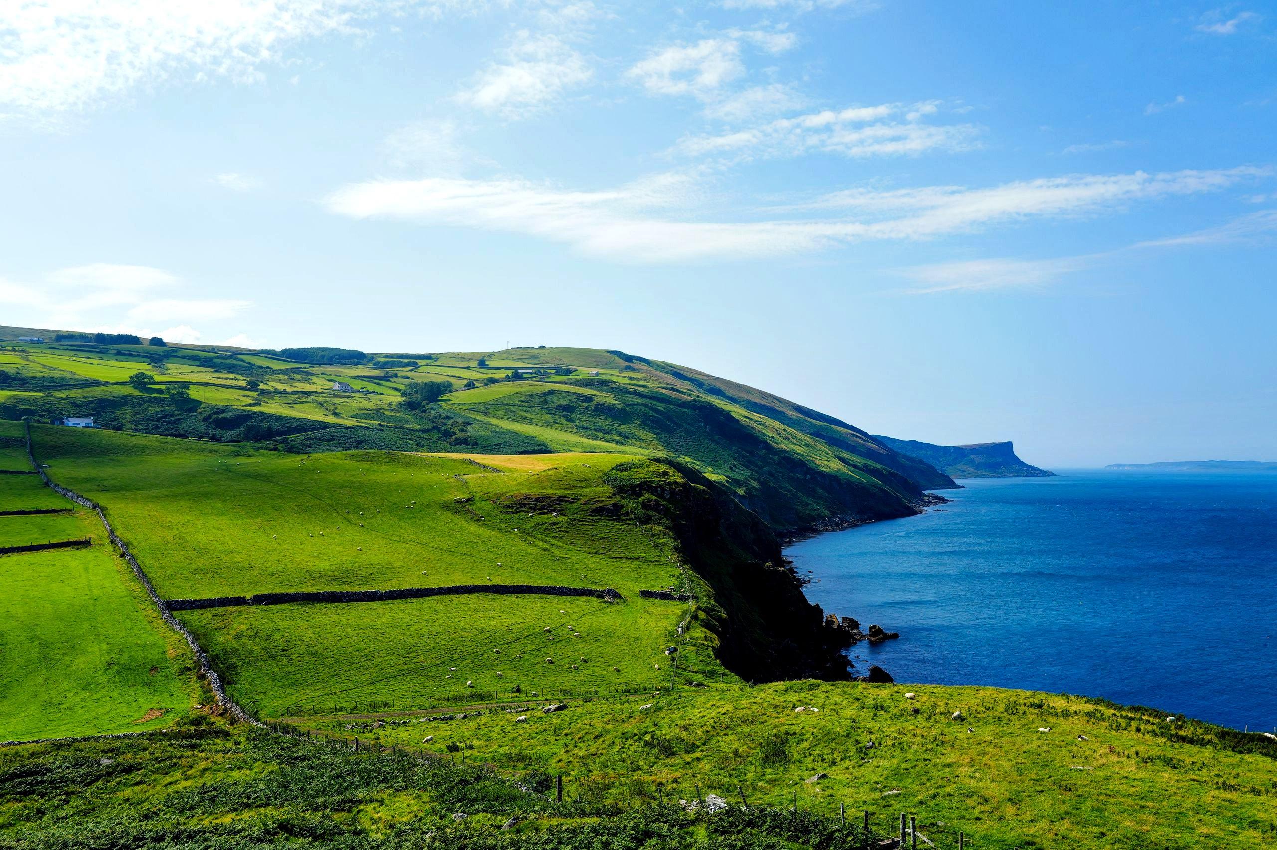 Bright green coastal hills meeting a calm blue ocean under a clear sky