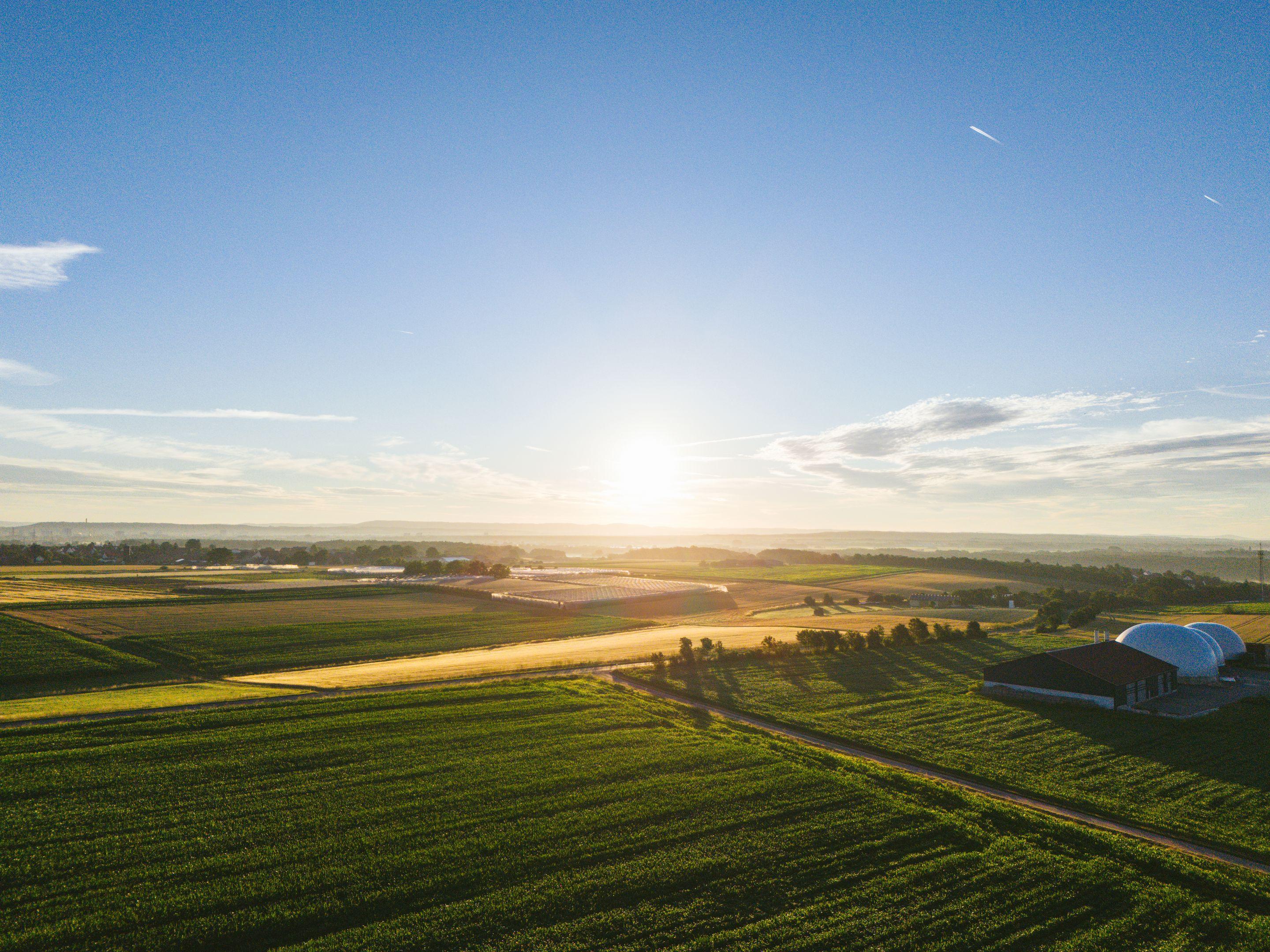 Early sun over wide green farmland under a clear blue sky