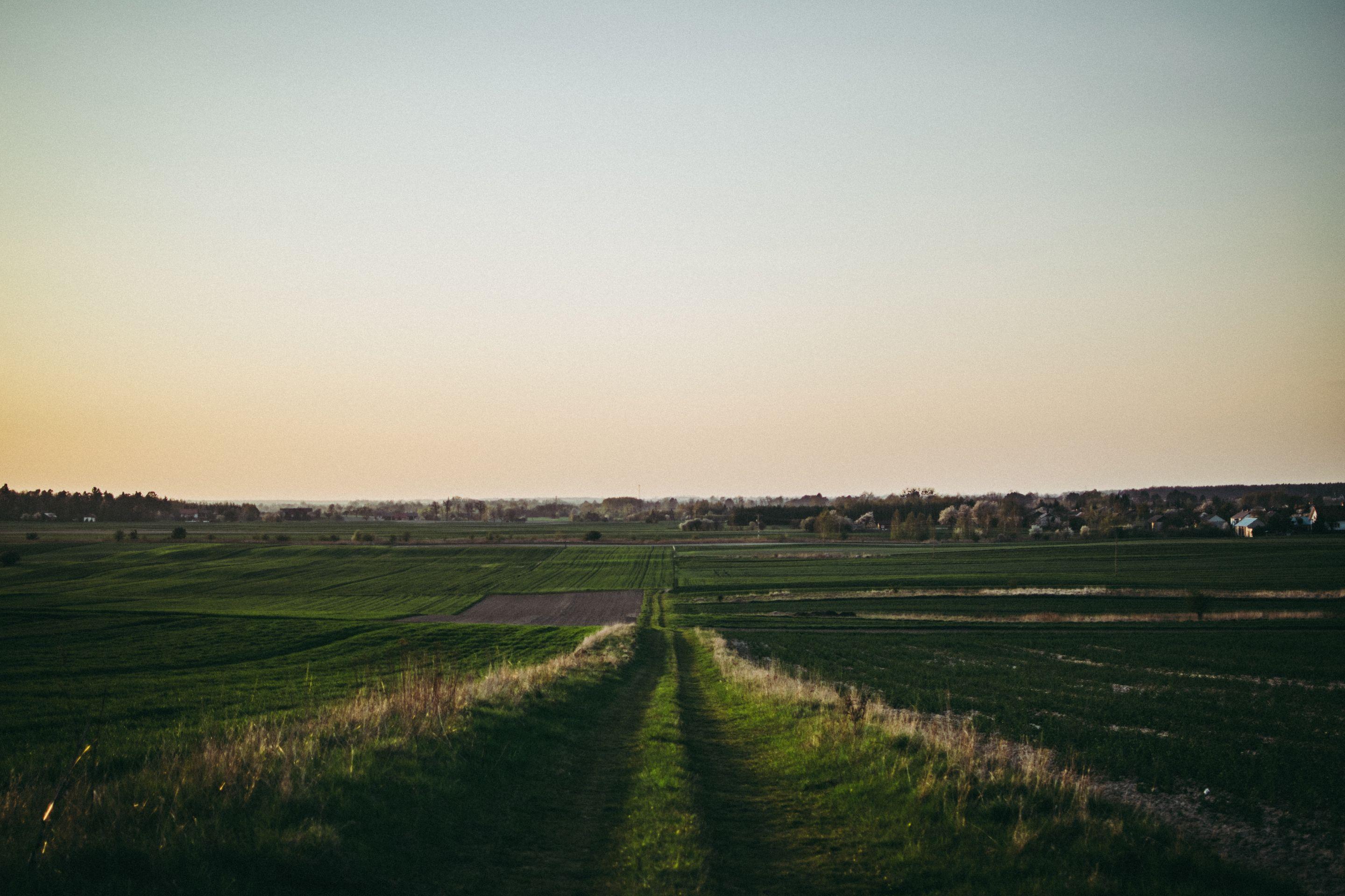 A green track running straight through open fields to a bright, level horizon