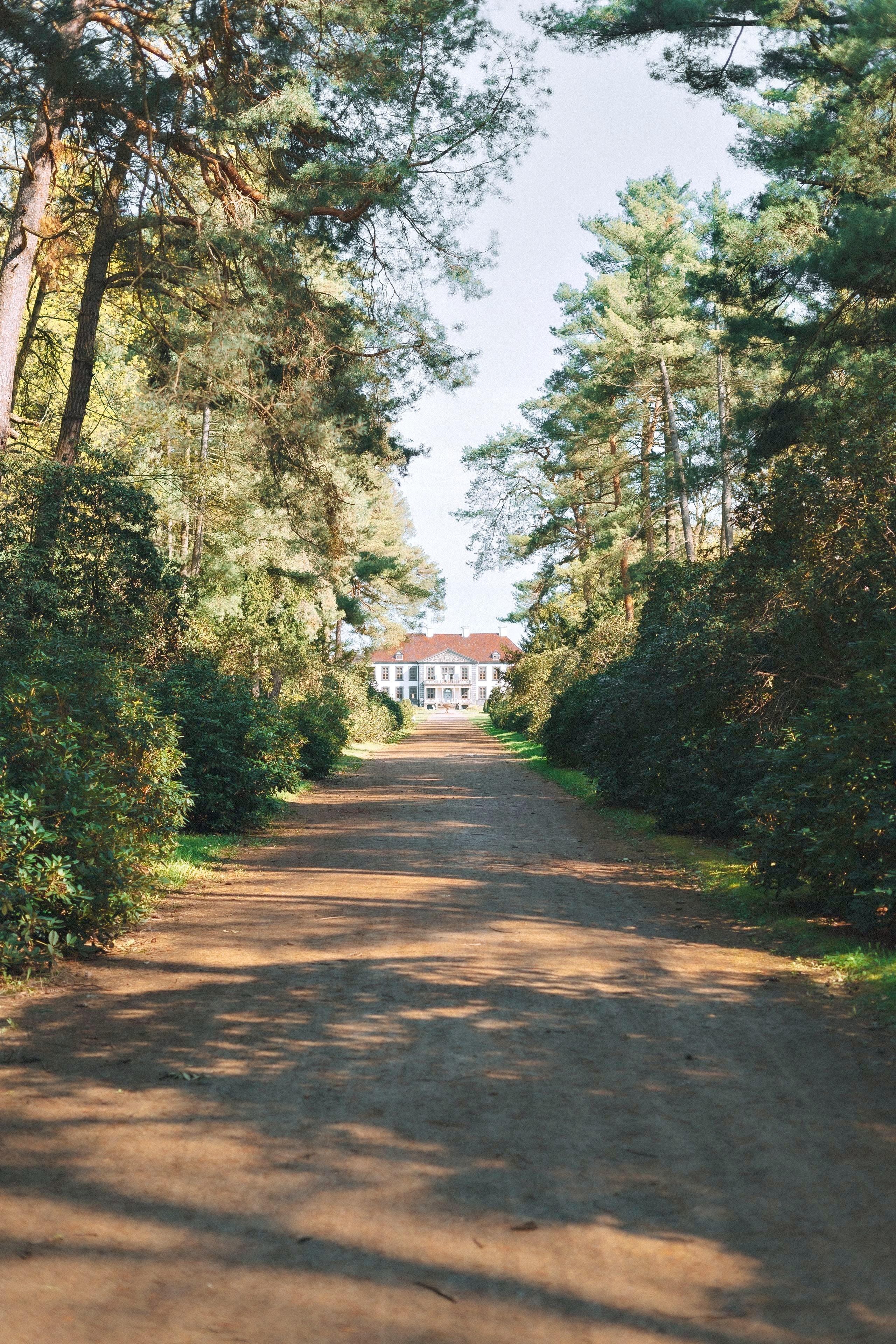 A long dirt road lined with tall trees leading toward a grand secluded mansion