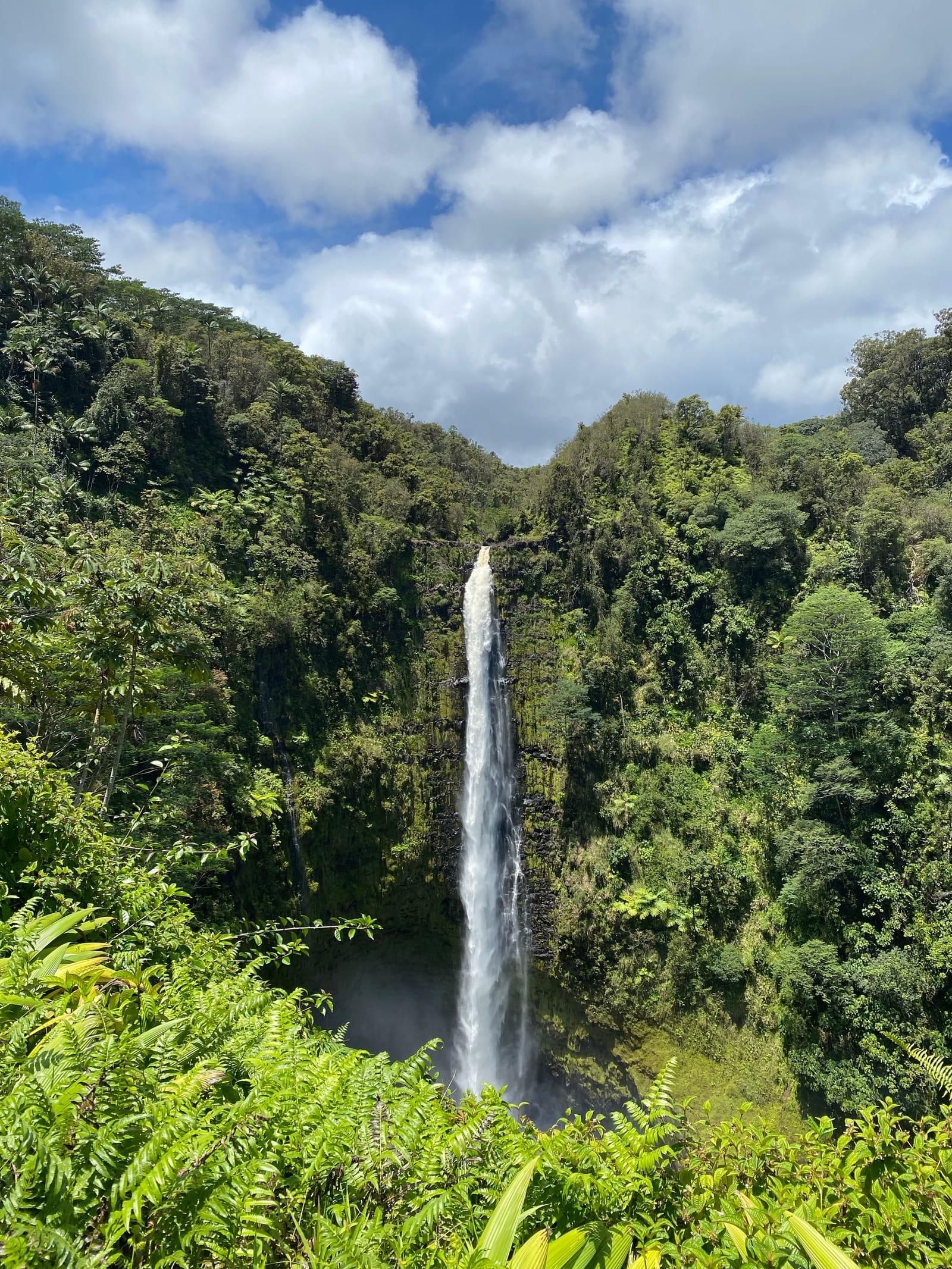 Akaka Falls dropping through green rainforest under a bright sky, near Hilo