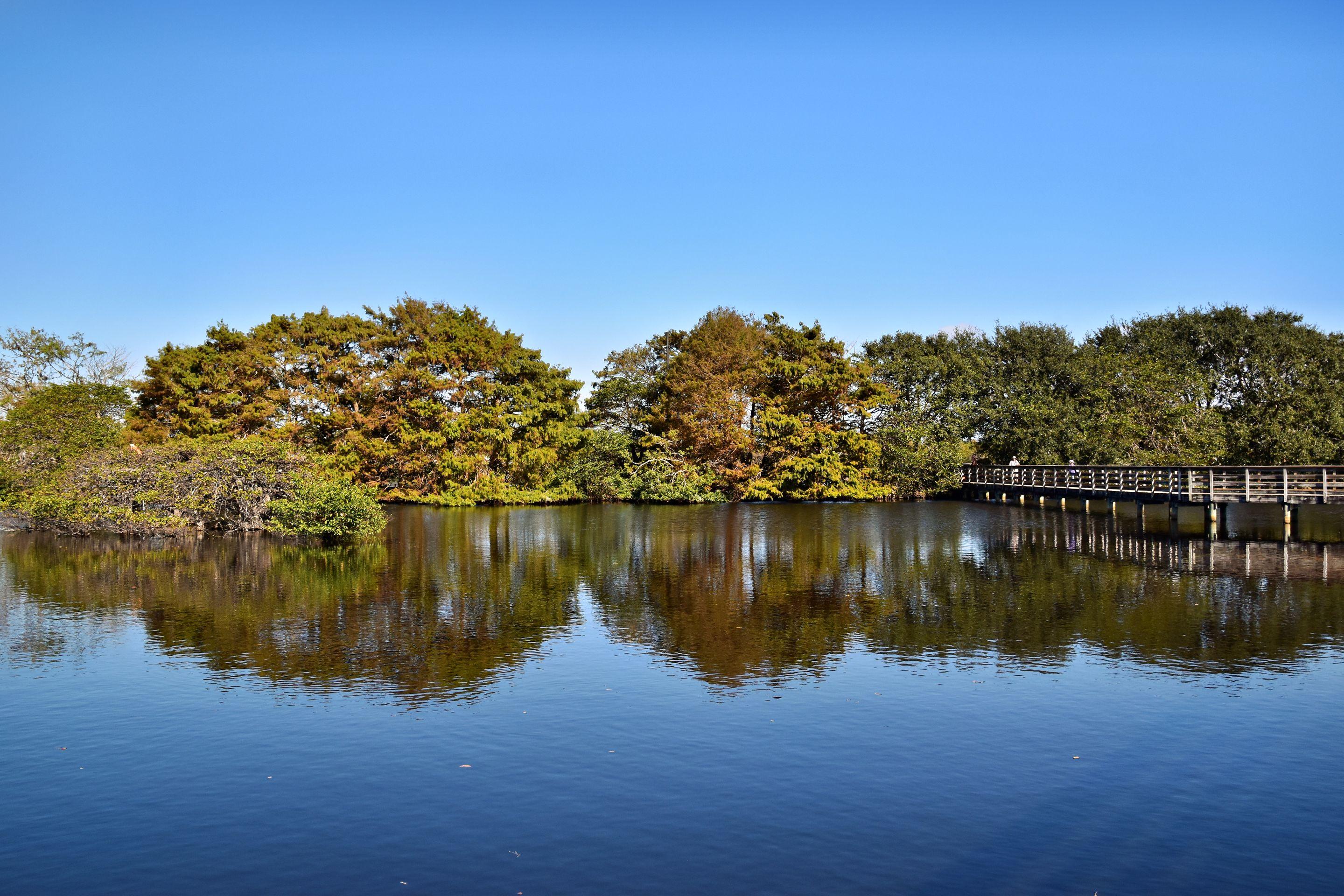 A calm Florida lake under a clear blue sky, a wooded island and boardwalk on the far shore
