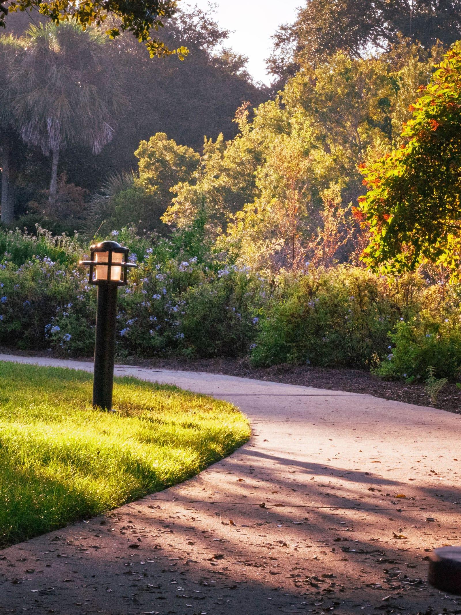 A garden path curving through trees in warm sunlight