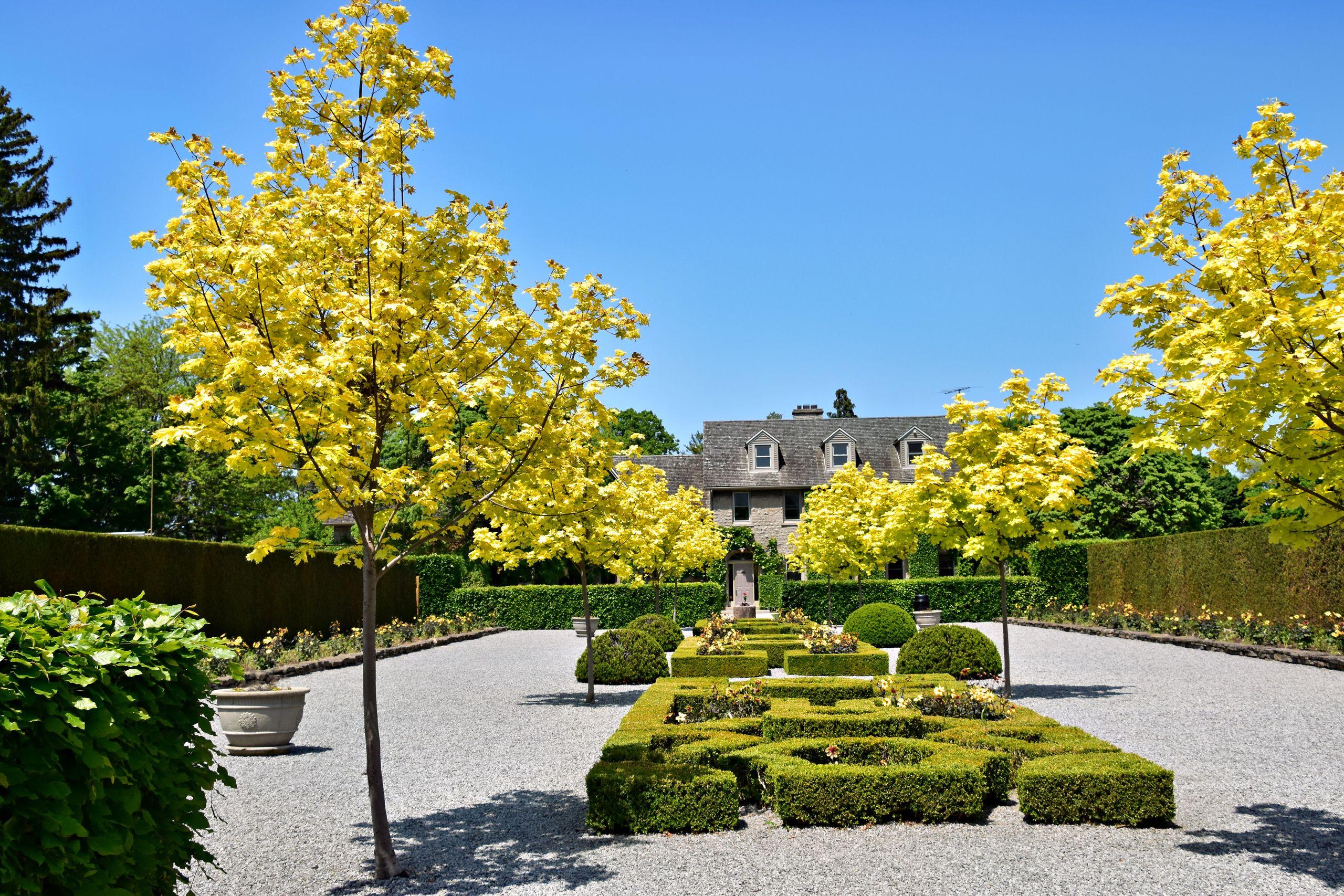 Manicured formal garden with trimmed topiary and a manor house visible in the background