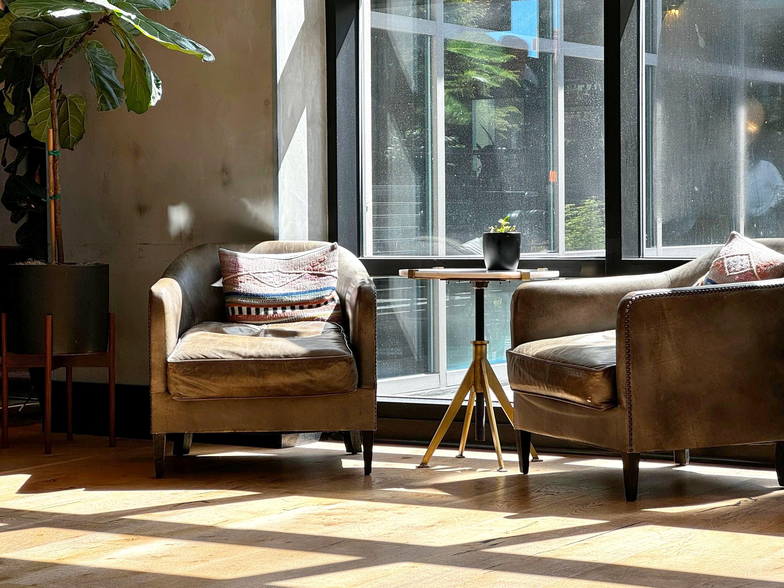 Two armchairs in a sunlit sitting room with large windows and warm wood floors