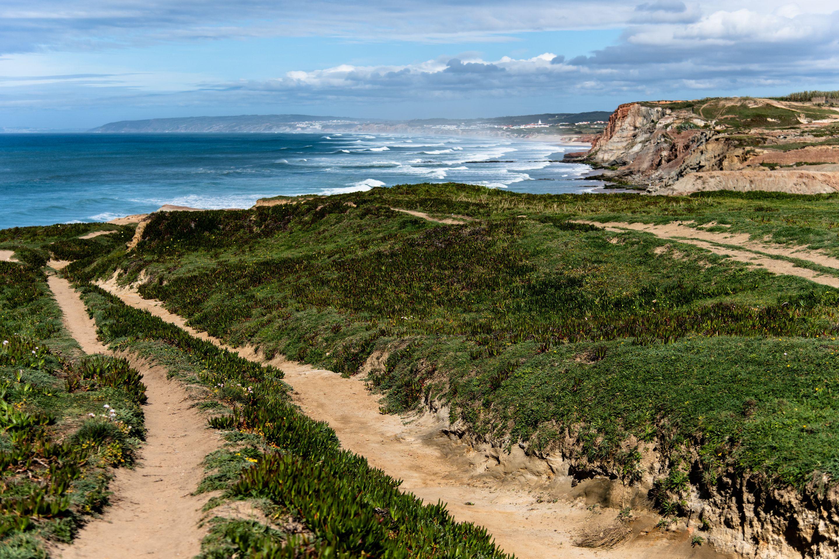 A sandy trail curving through green coastal scrub above the sea