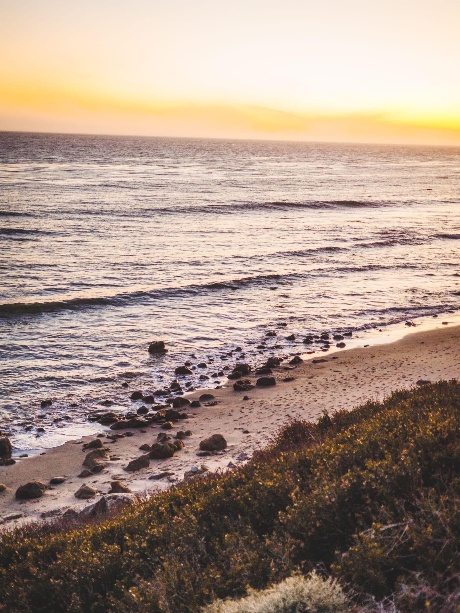 Grass and wildflowers on a bluff above the Malibu coast at sunset