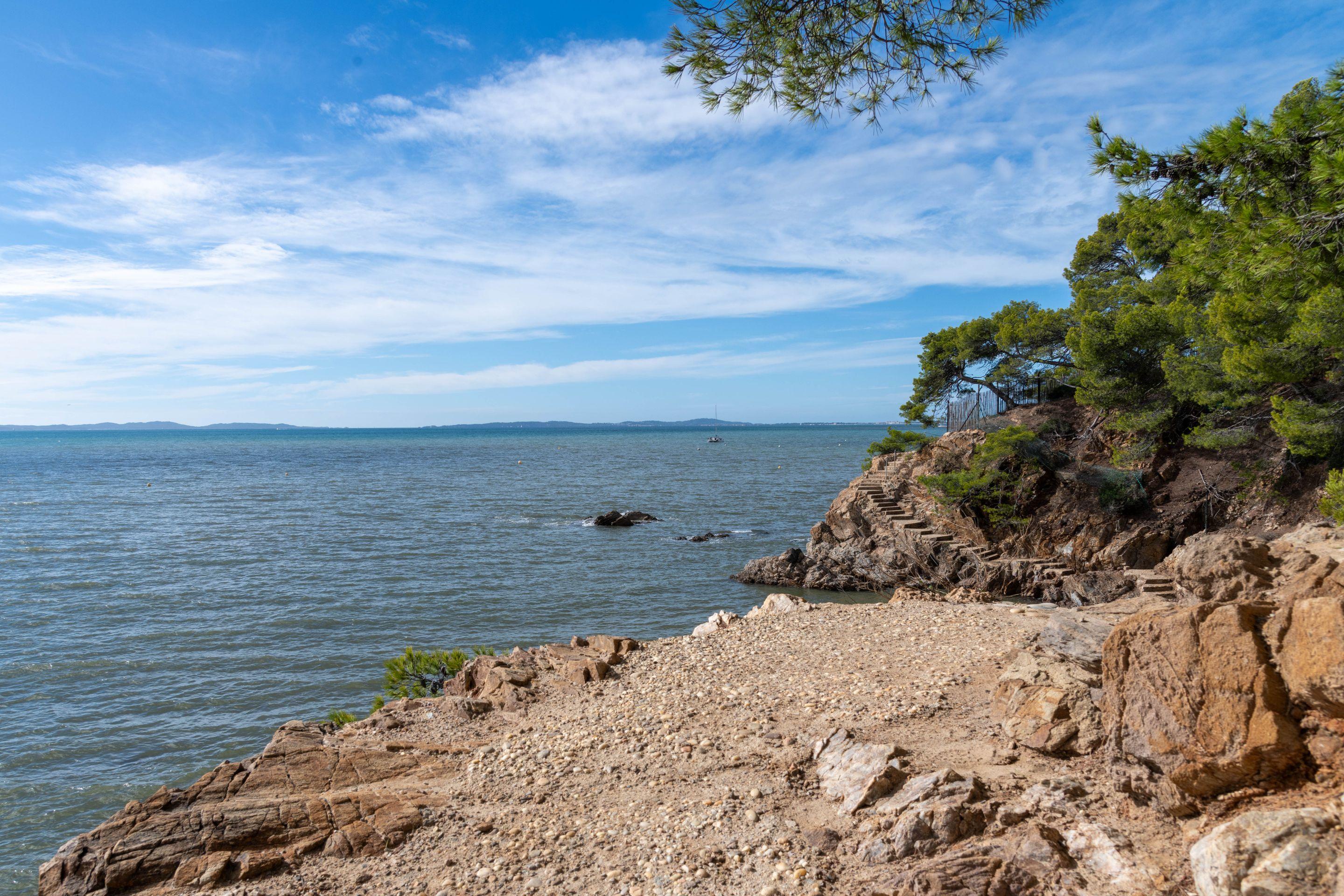 Pines leaning over a rocky shoreline above calm blue water