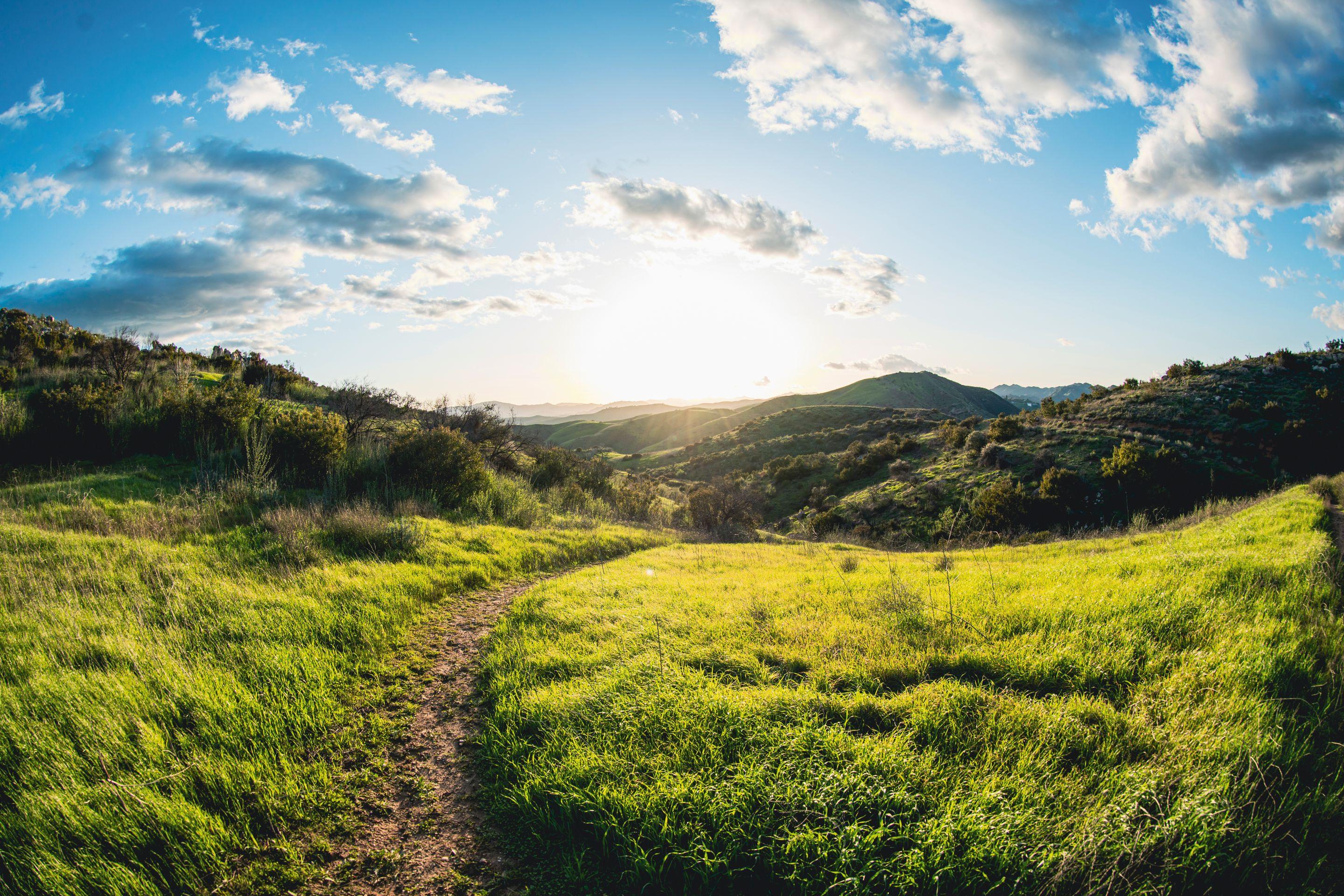 A grass path forking in two across a bright green hillside under a broad cloudy sky