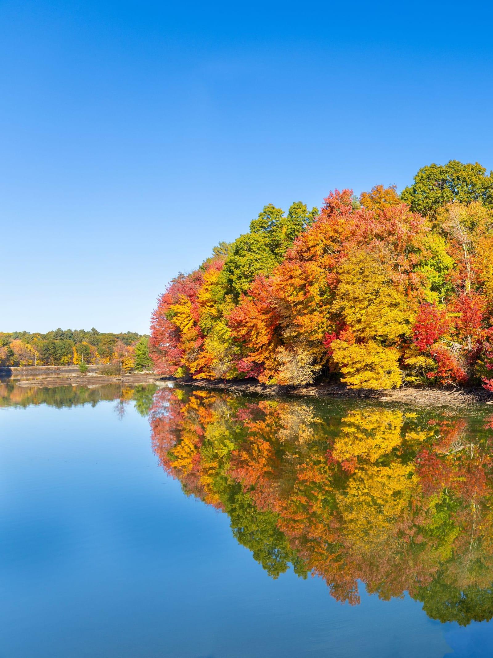 Autumn colour reflected in a still pond in Southborough, Massachusetts