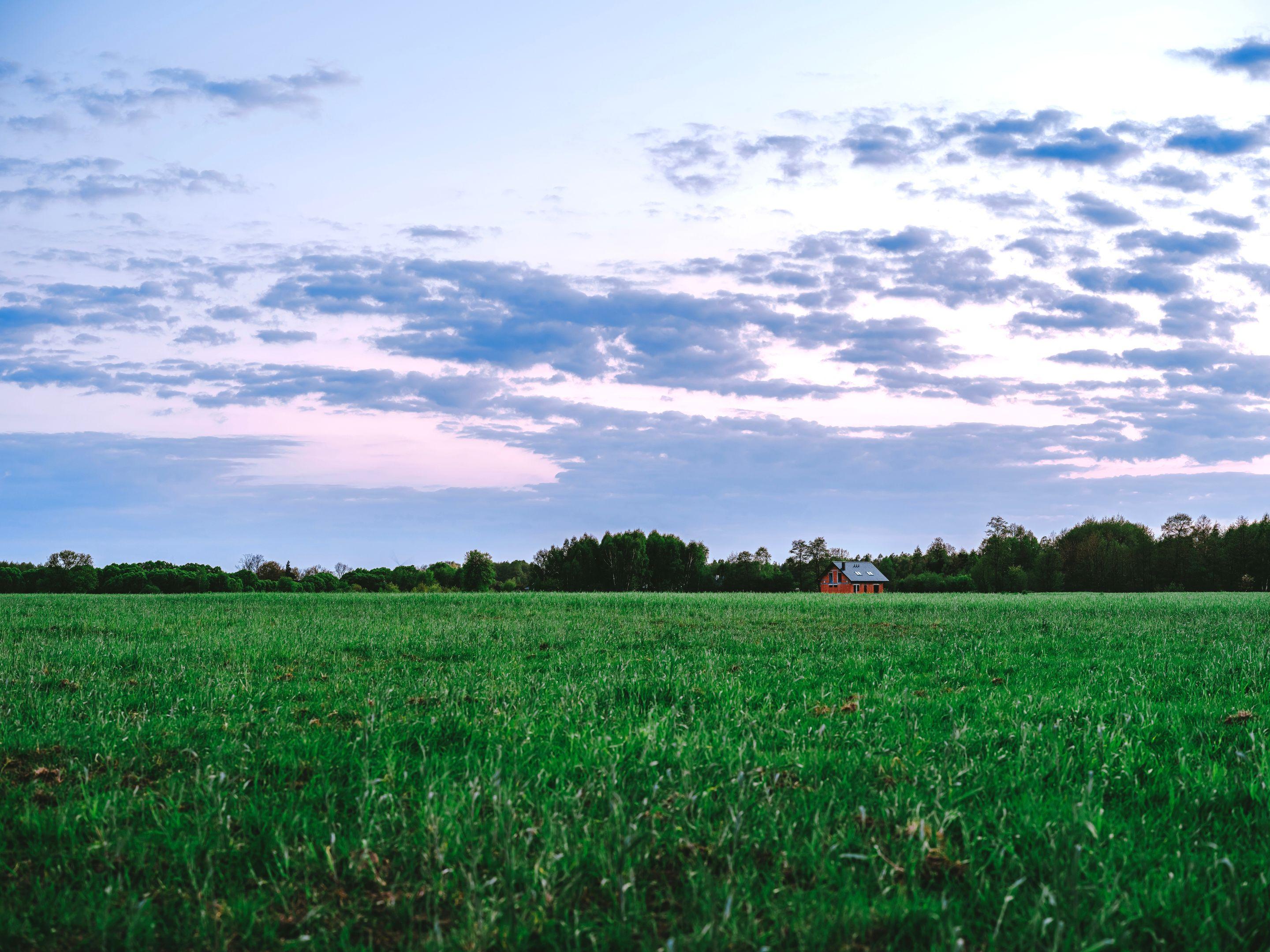 A wide green field running to a low treeline under a broad pale sky